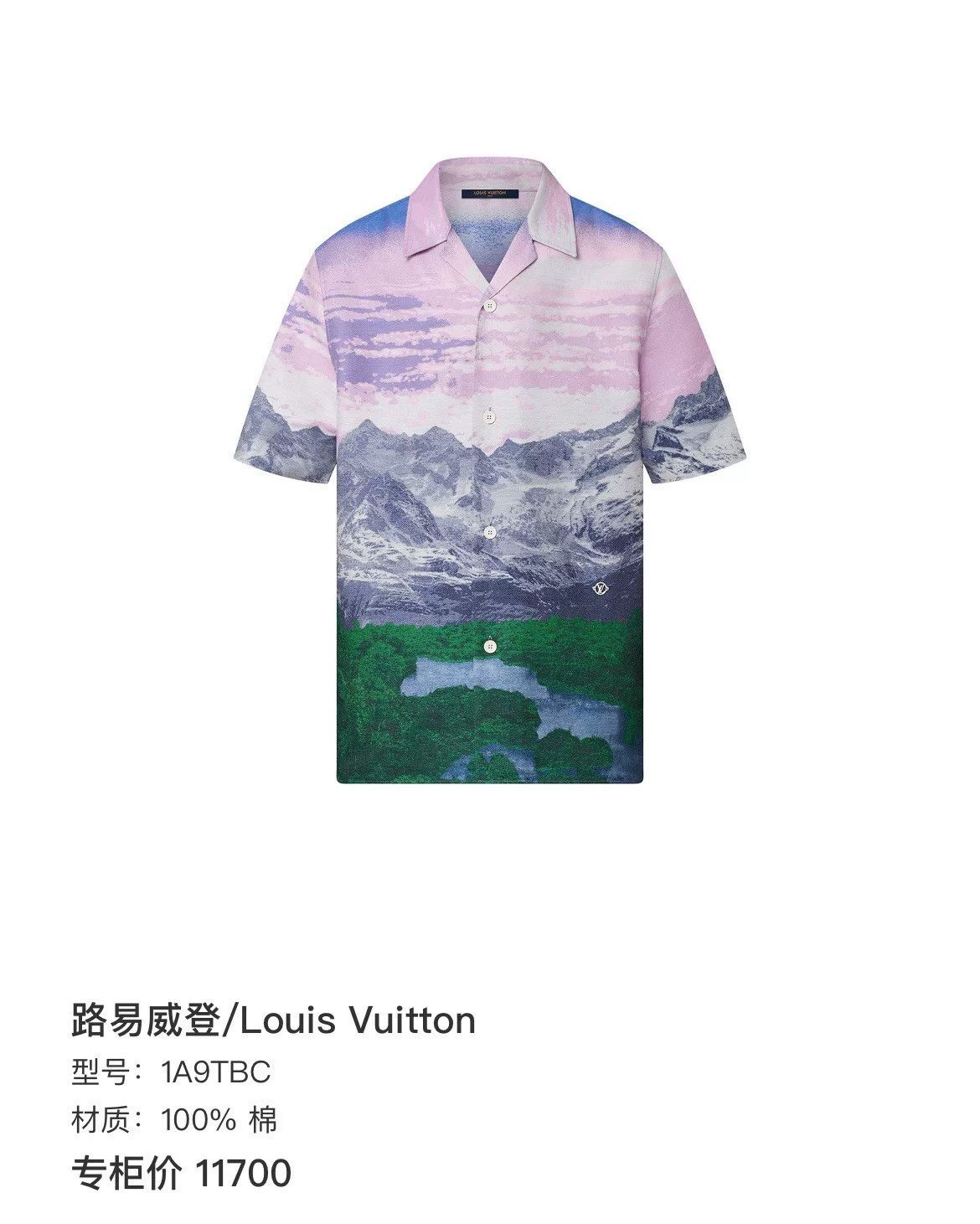 Louis Vuitton Louis Vuitton Landscape Print Shirt Size XS / US 0-2 / IT 36-38 - 7 Thumbnail