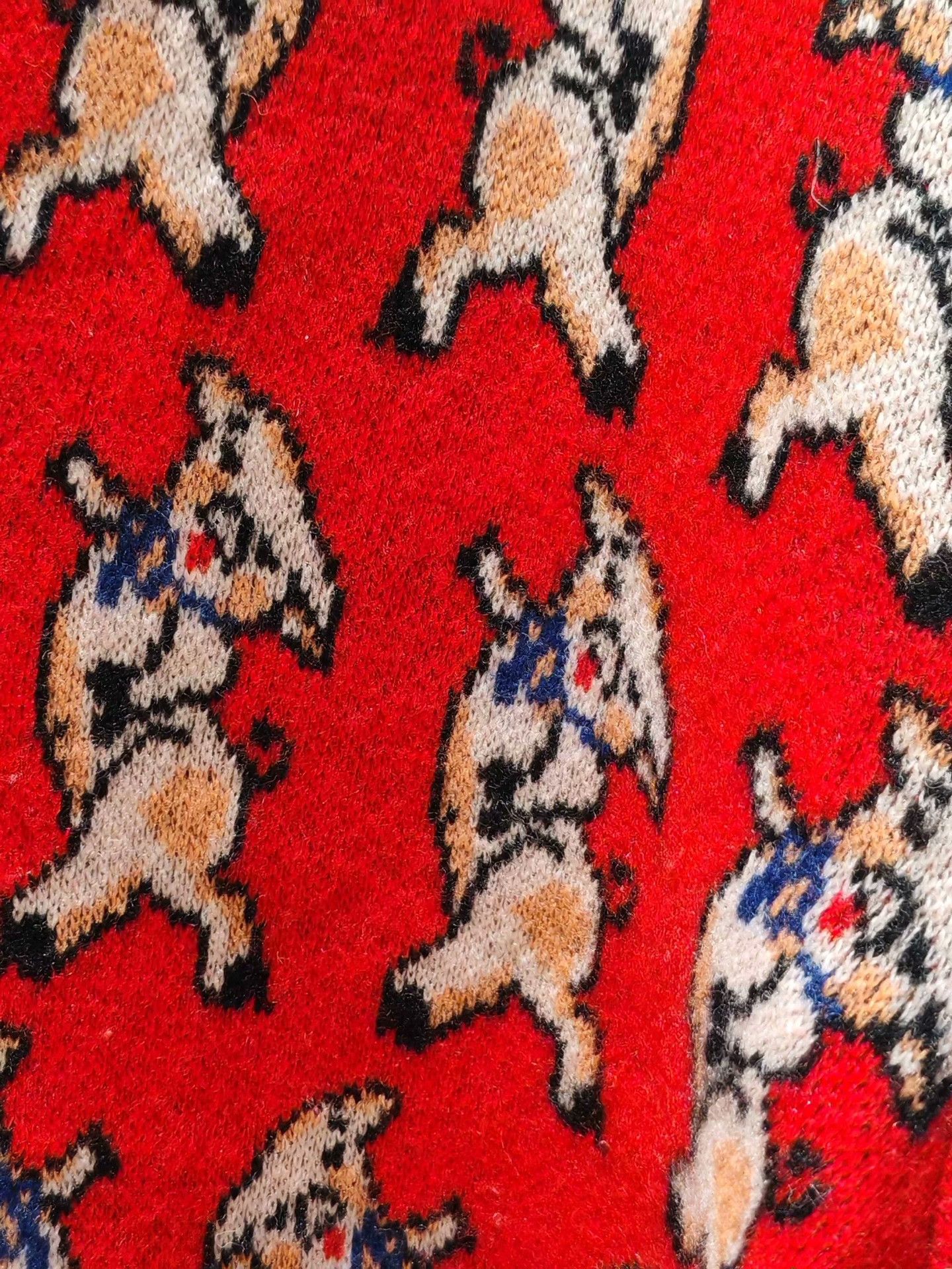 Gucci Gucci Red Pig New Year Limited Cardigan Size M / US 6-8 / IT 42-44 - 3 Thumbnail
