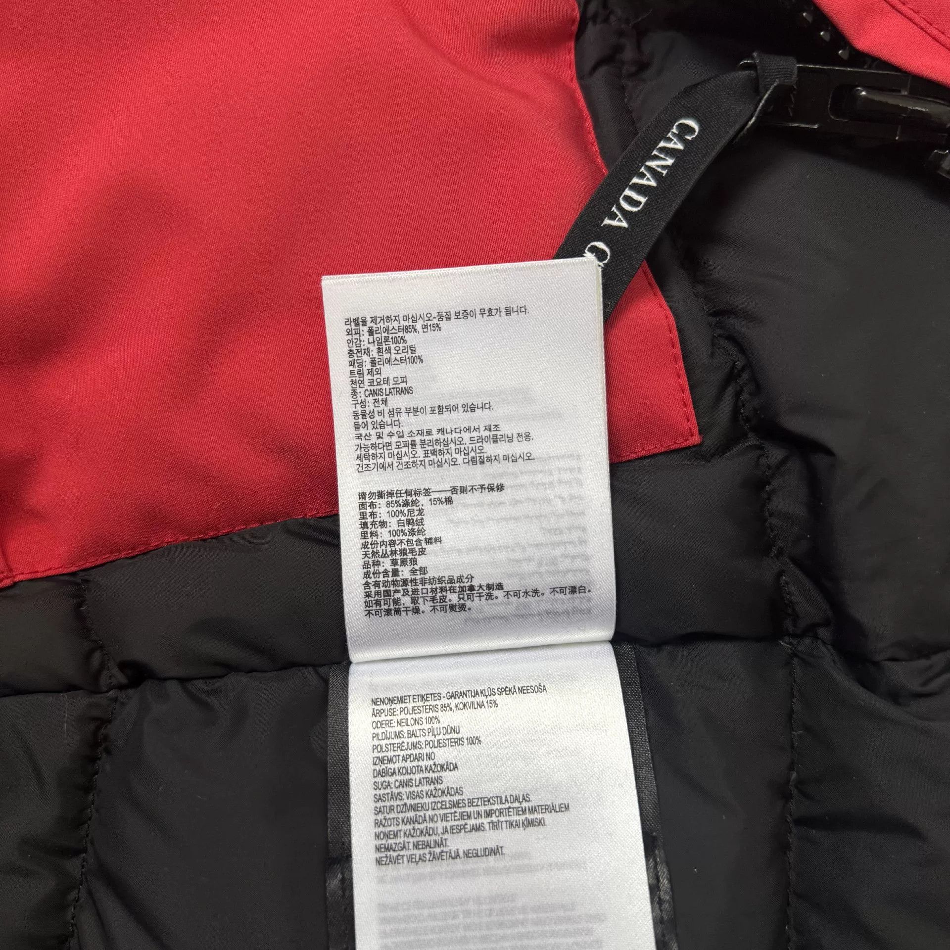 Canada Goose Canada Goose Red Heavy Coat xxs Men Size US XXS / EU 40 - 6 Thumbnail