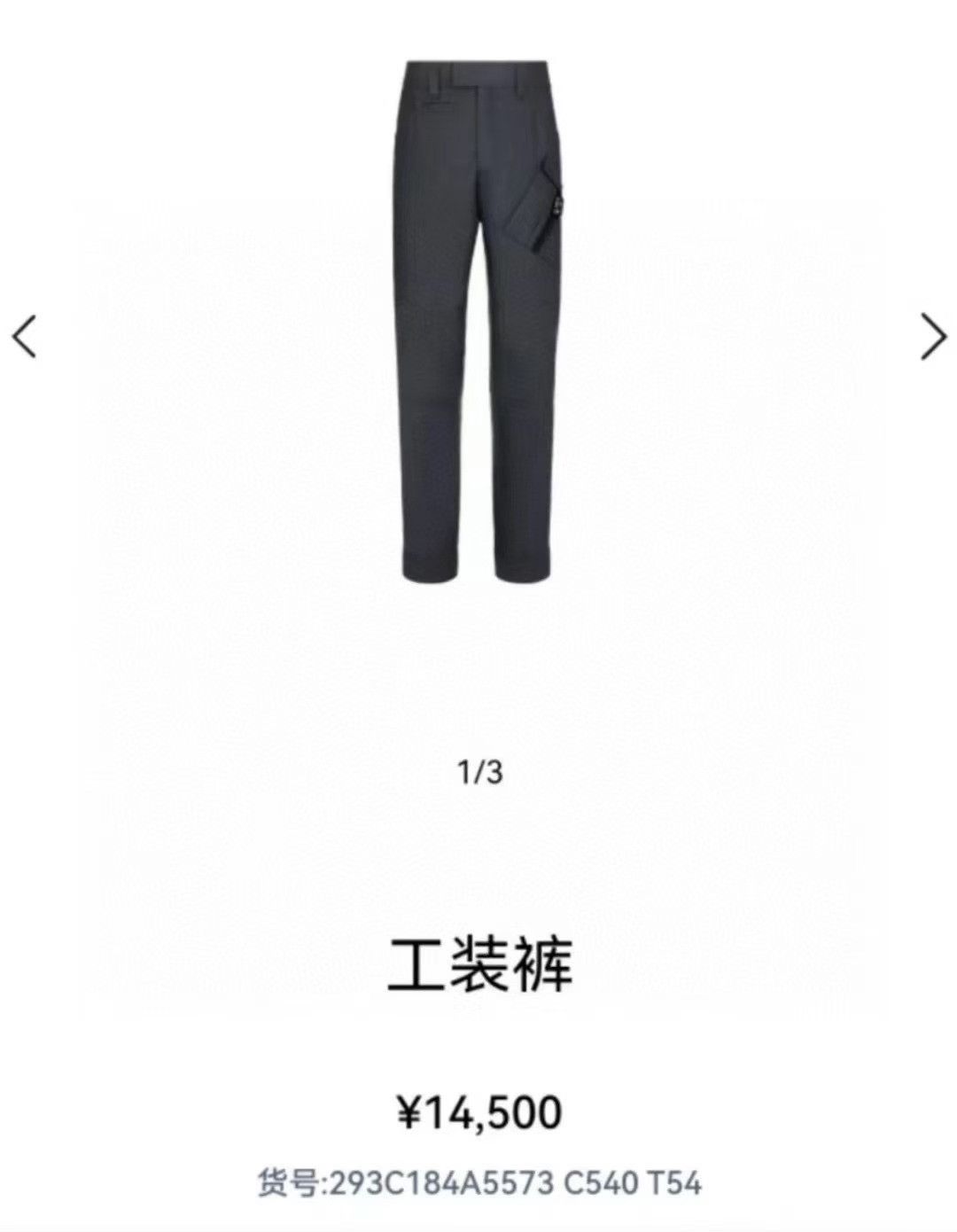 Dior DIOR FW23 Solid Cargo Pants Size US 31 - 9 Thumbnail