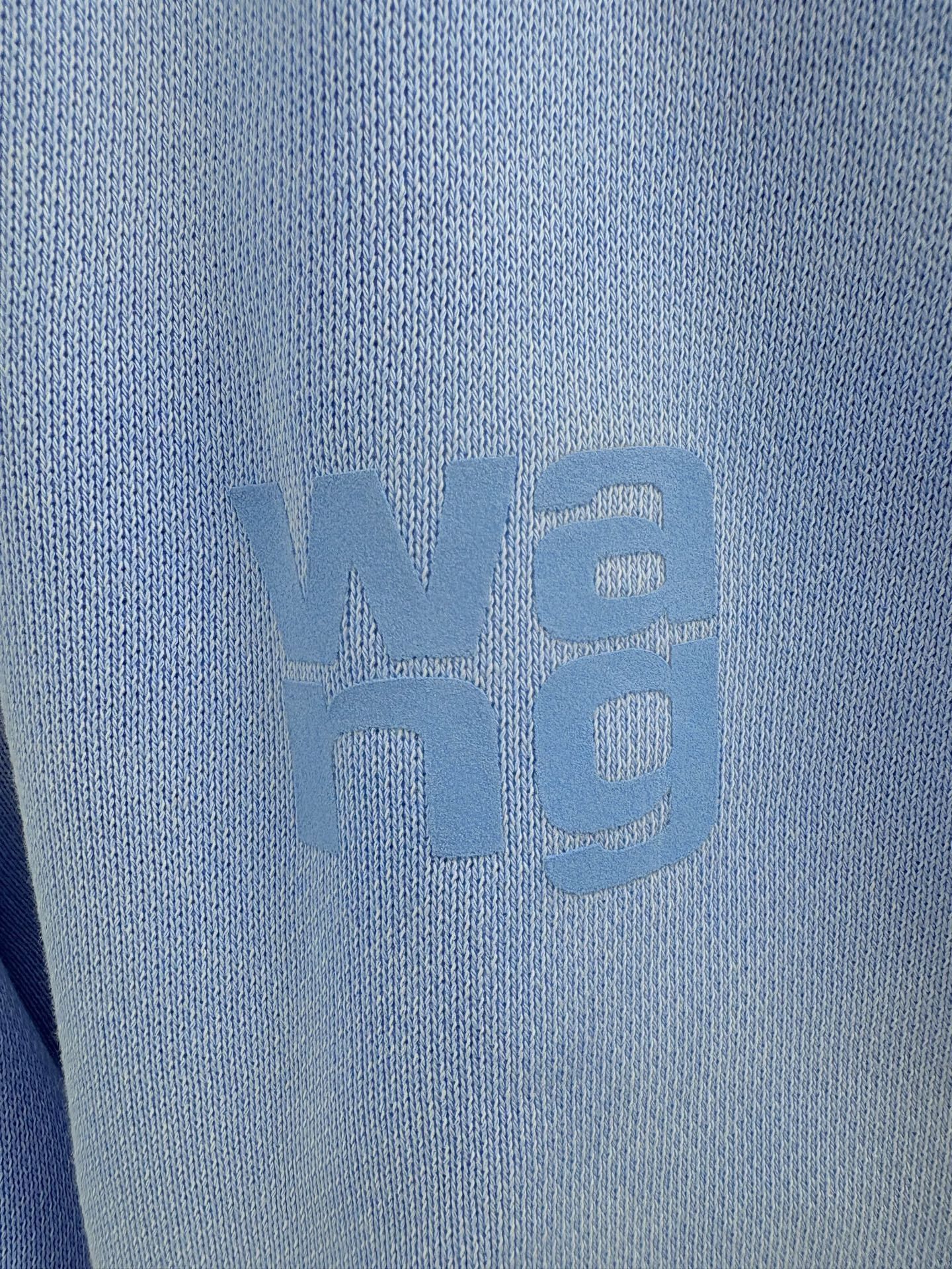 Alexander Wang Alexander Wang Logo Fleece Pants Size 30" / US 8 / IT 44 - 3 Thumbnail