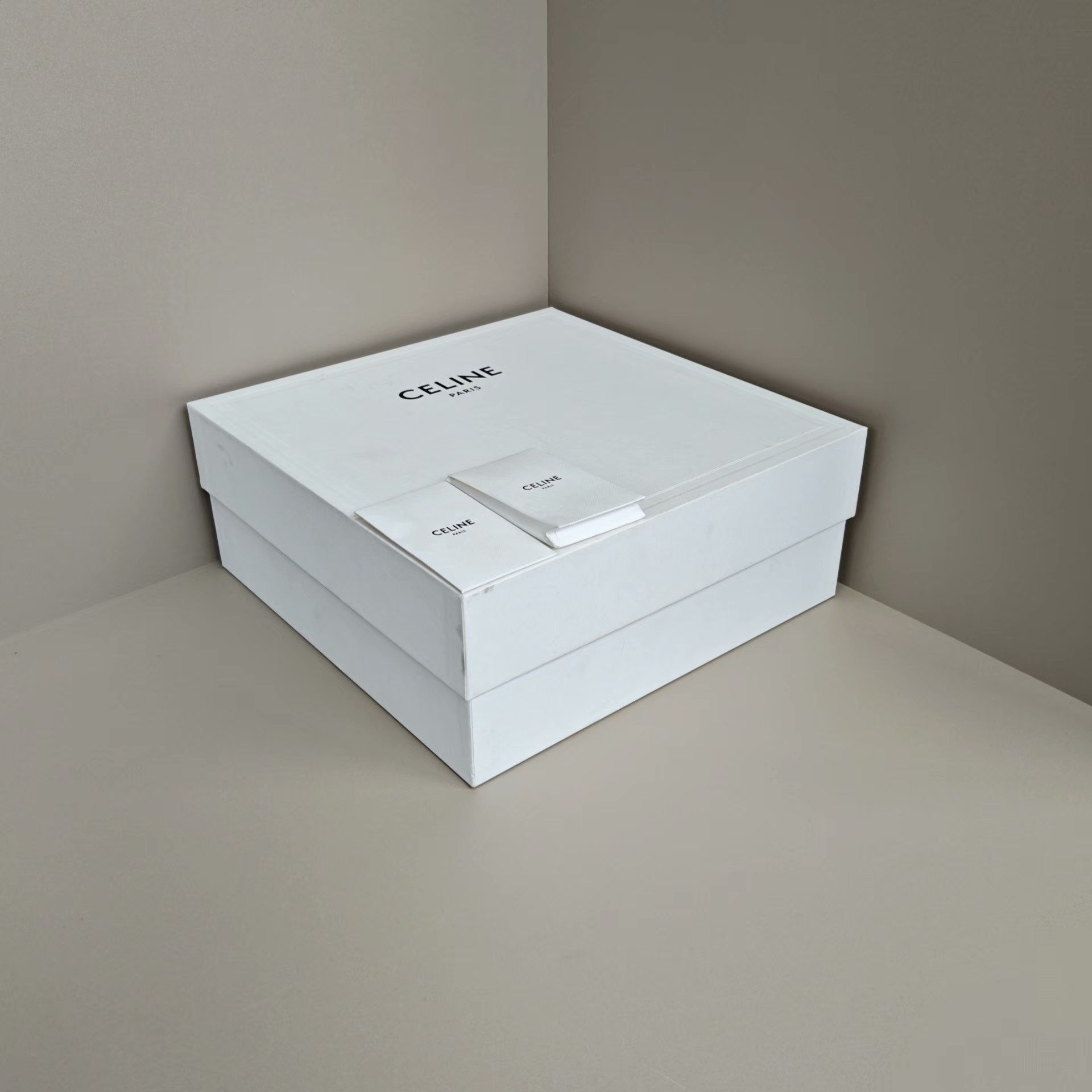 Celine Celine Lowtop Sneakers us_9 Women Size US 9 / IT 39 - 7 Thumbnail
