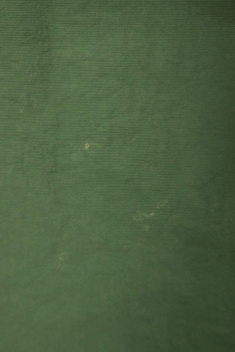 Bape Bape Blouson Green Size M Size US M / EU 48-50 / 2 - 3 Thumbnail