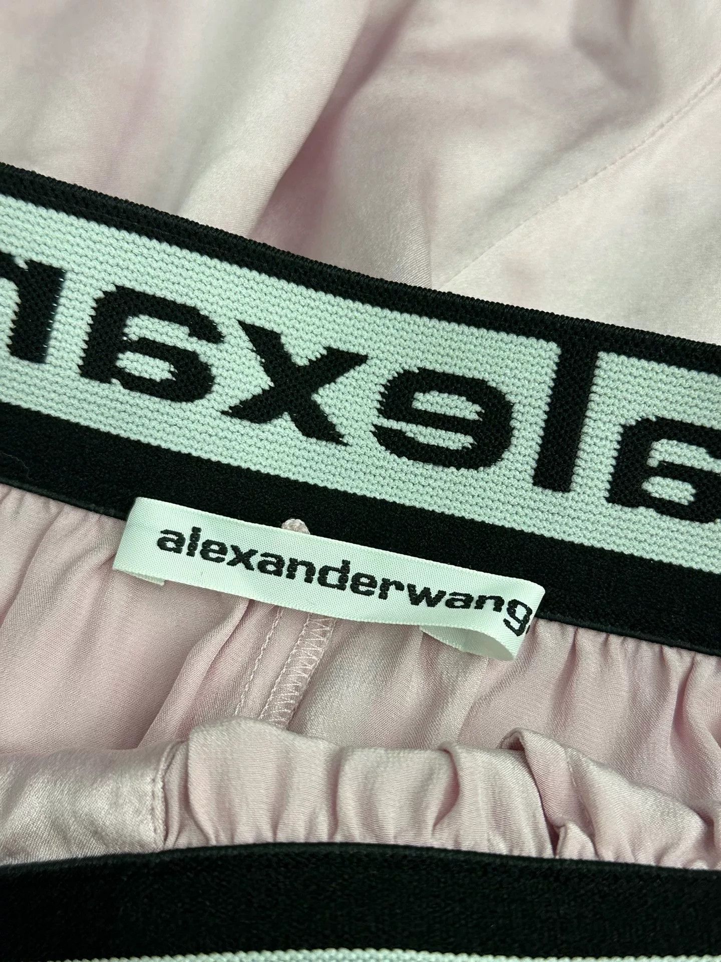 Alexander Wang Alexander Wang Pink Letter Silk Shorts Size 24" / US 00 / IT 34 - 4 Thumbnail