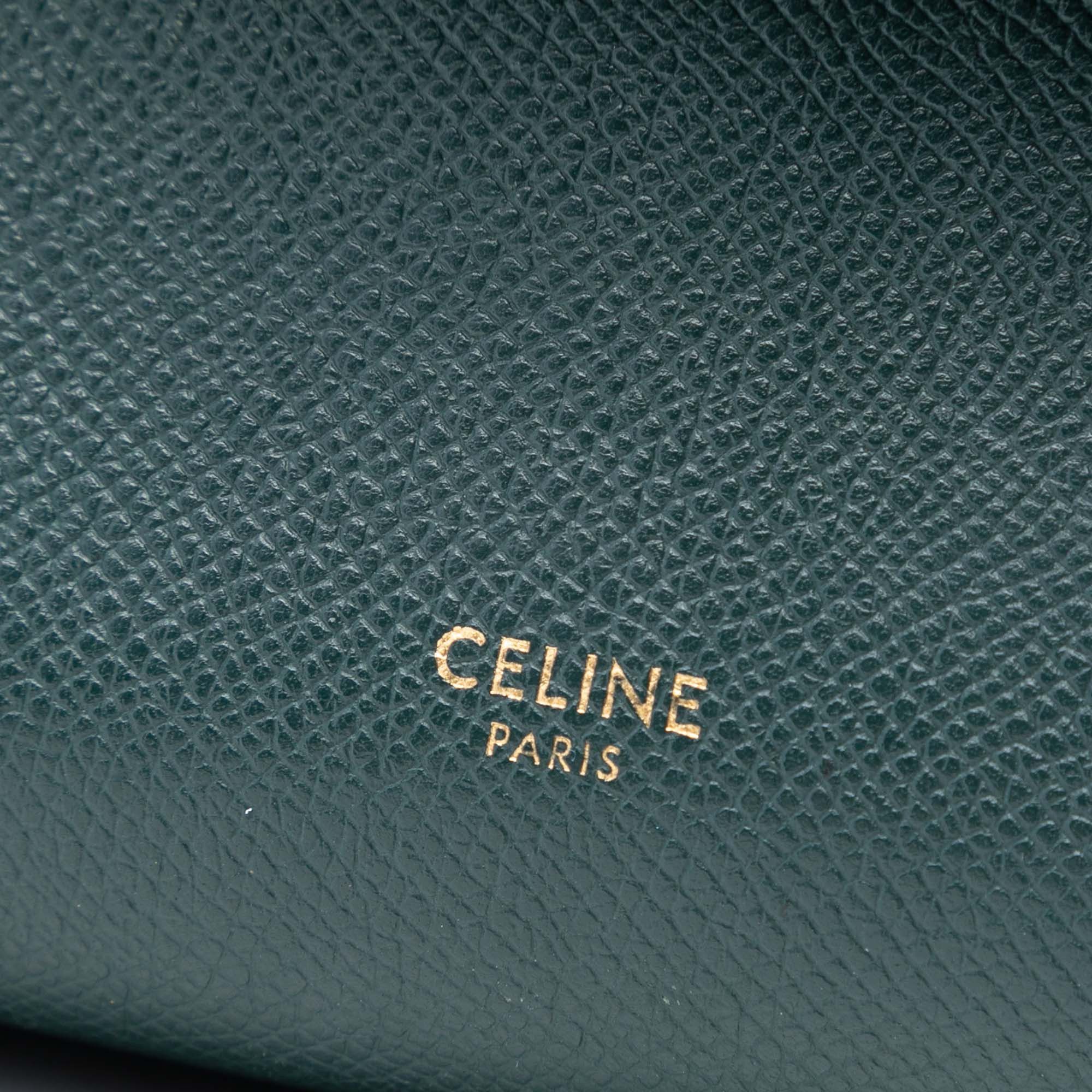 Celine Pico Grained Calfskin Belt Bag Size ONE SIZE - 5 Thumbnail