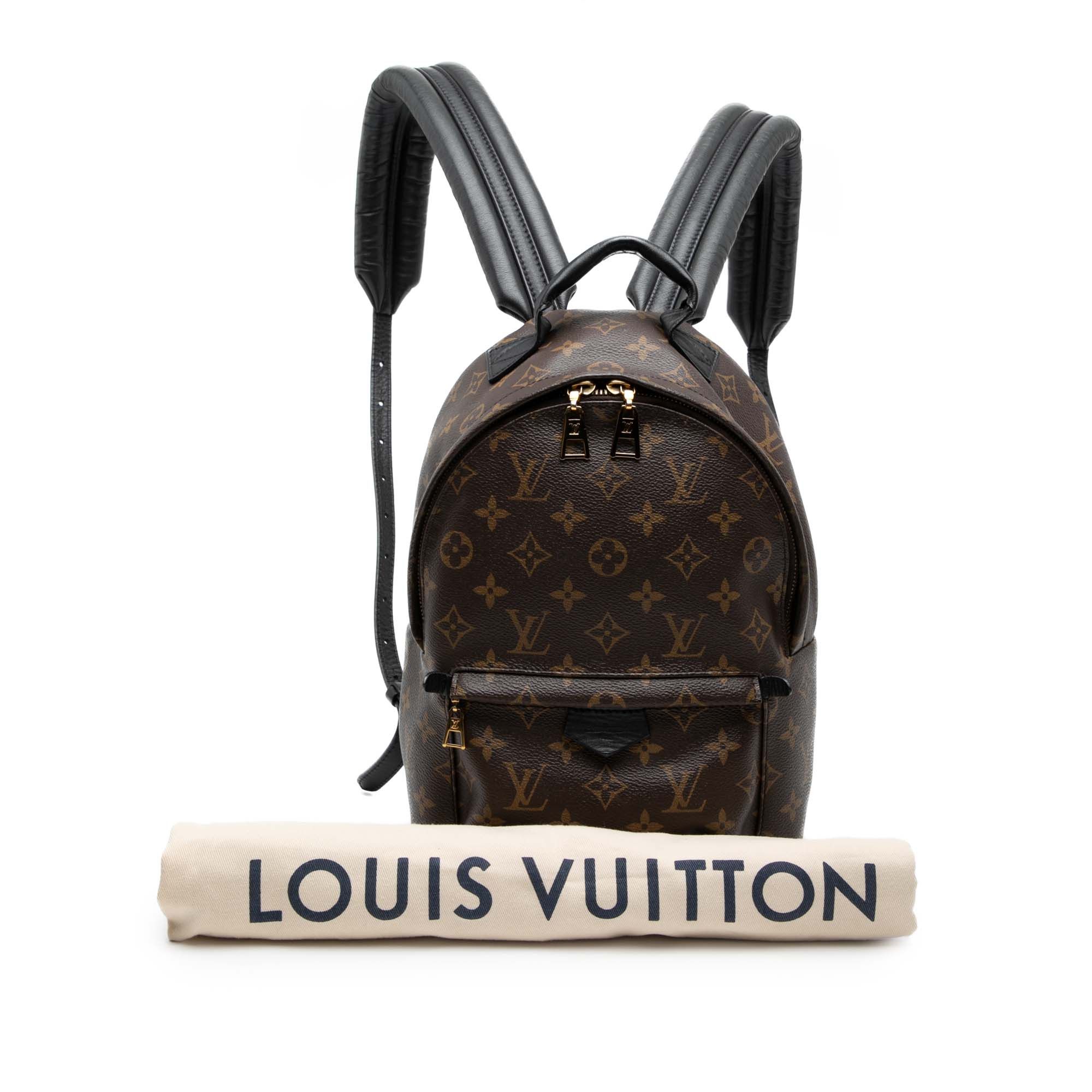 Louis Vuitton Monogram Palm Springs PM Size ONE SIZE - 7 Thumbnail