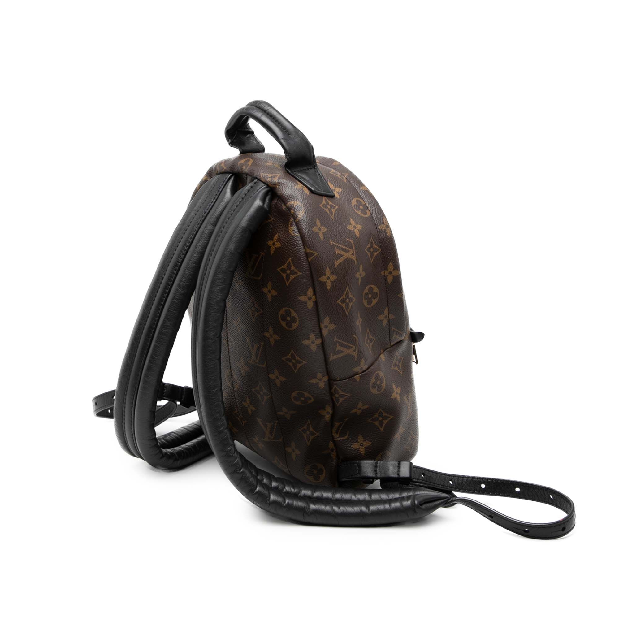 Louis Vuitton Monogram Palm Springs PM Size ONE SIZE - 2 Thumbnail