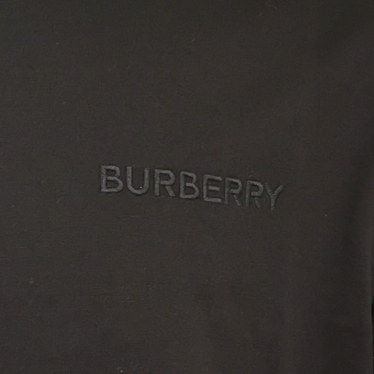 Burberry Burberry Tonal Embroidered Logo T-Shirt US M Size US M / EU 48-50 / 2 - 3 Thumbnail