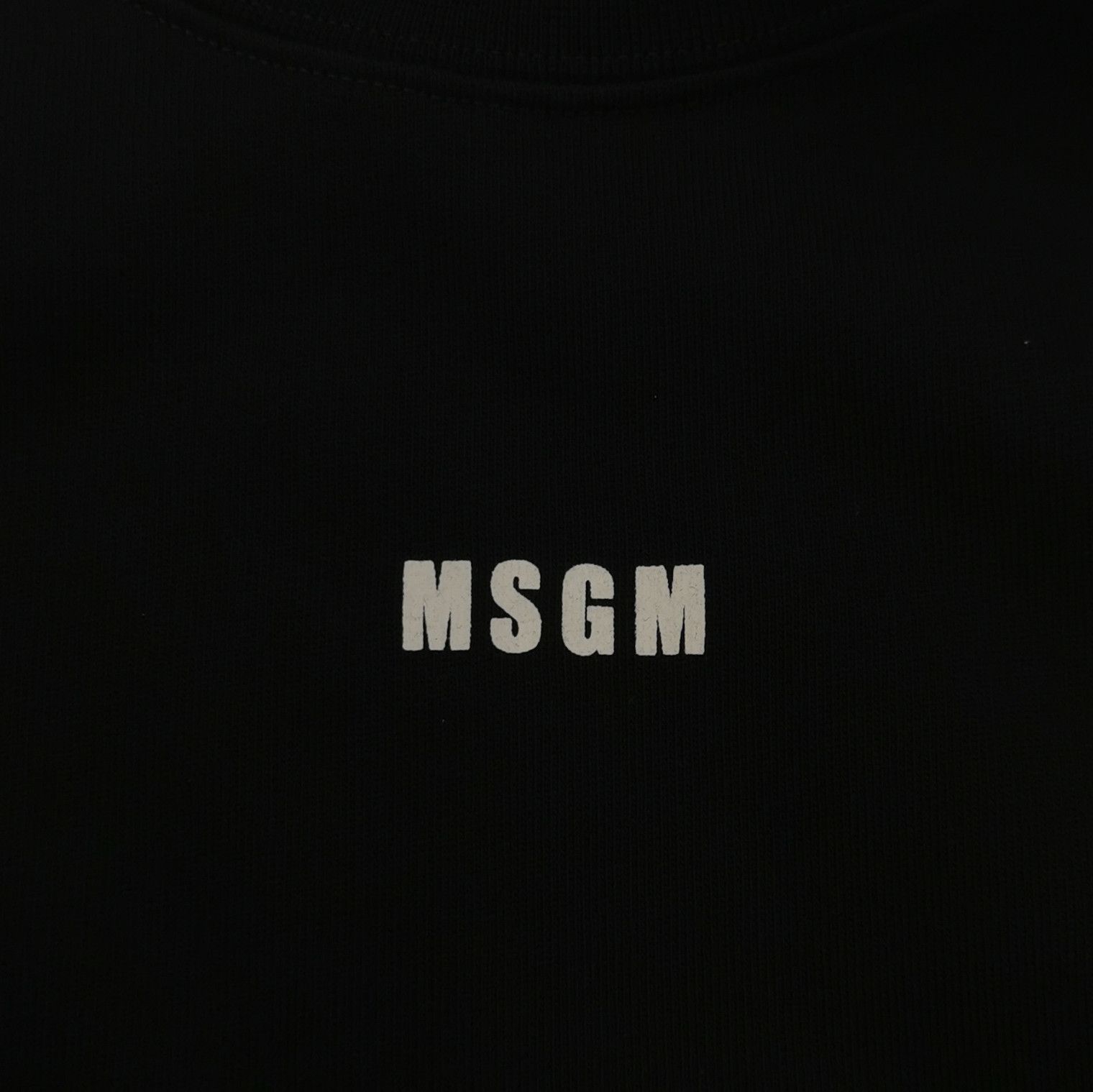 MSGM MSGM Cotton Logo Sweatshirt Size L Size US L / EU 52-54 / 3 - 3 Thumbnail