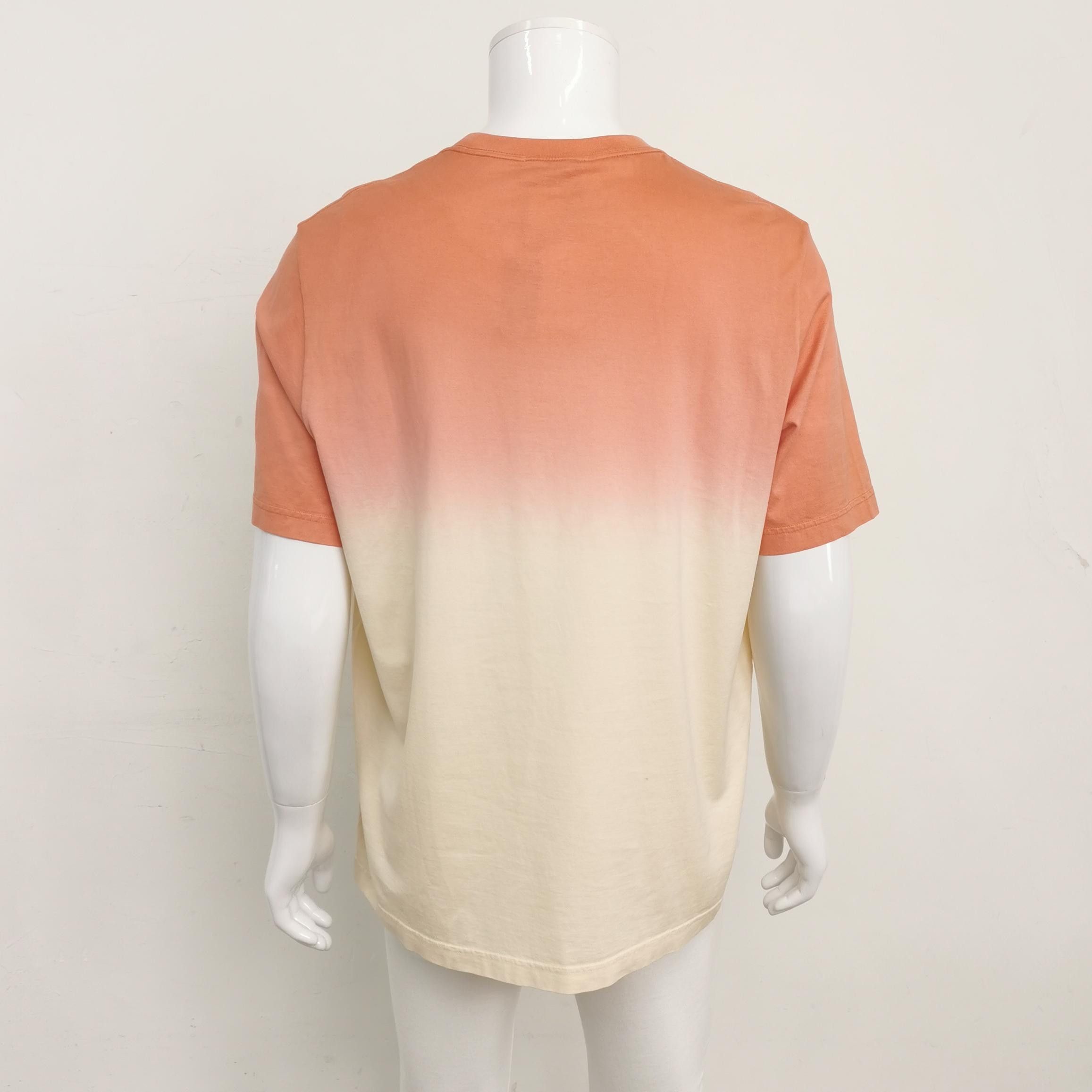 Lanvin Lanvin Ombré Gradient Cotton T-Shirt Size M Size US M / EU 48-50 / 2 - 2 Thumbnail