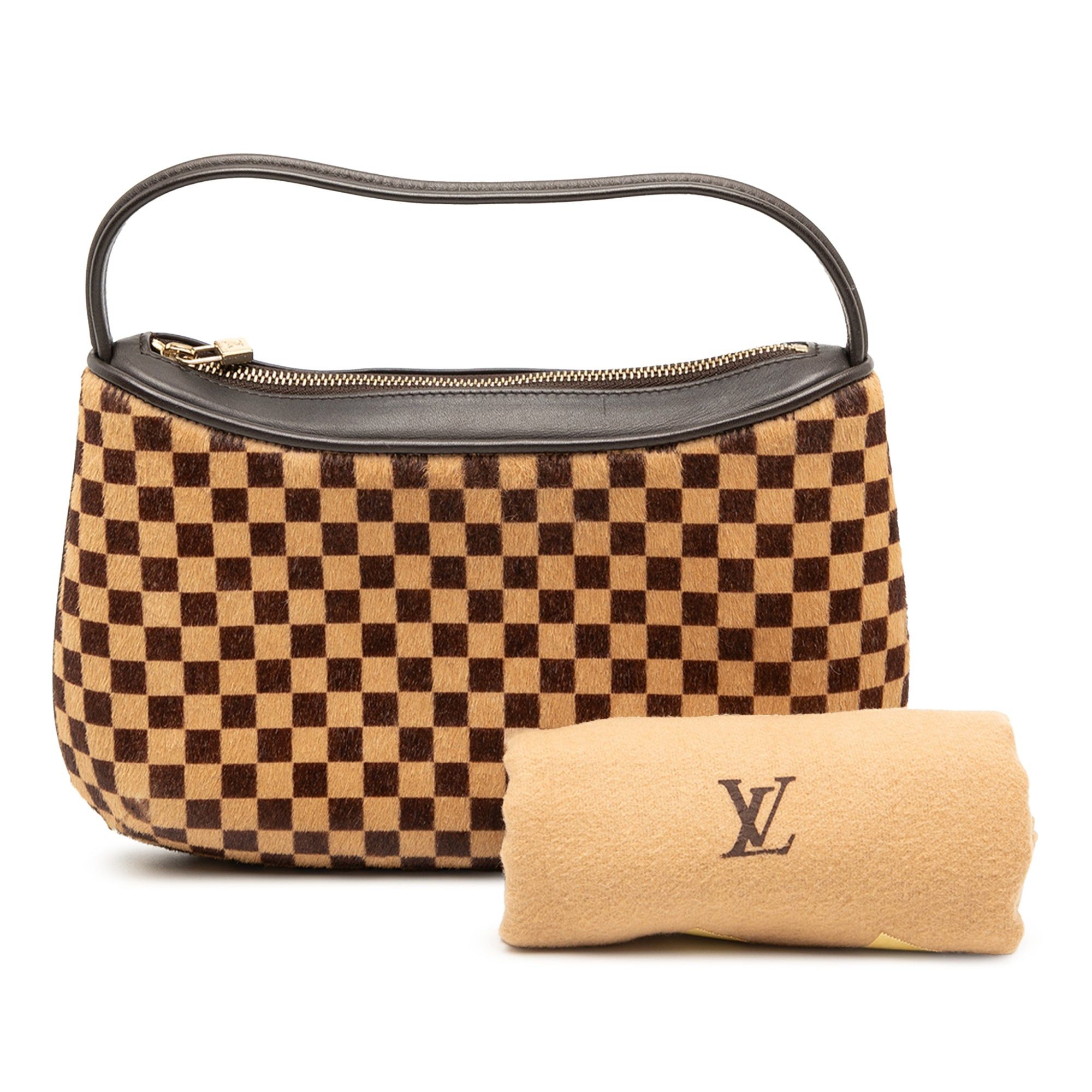 Louis Vuitton Damier Sauvage Tigre Size ONE SIZE - 8 Thumbnail