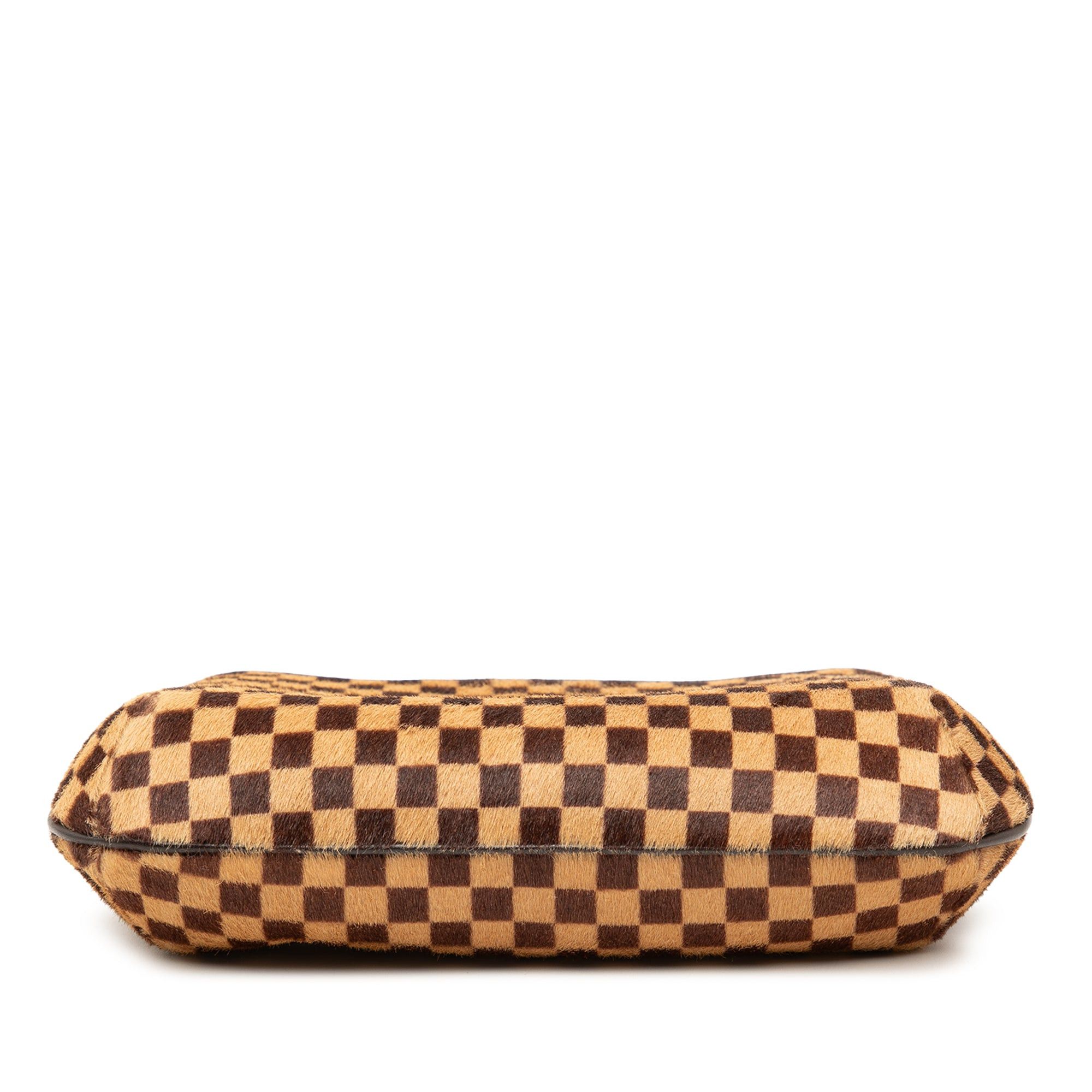 Louis Vuitton Damier Sauvage Tigre Size ONE SIZE - 3 Thumbnail