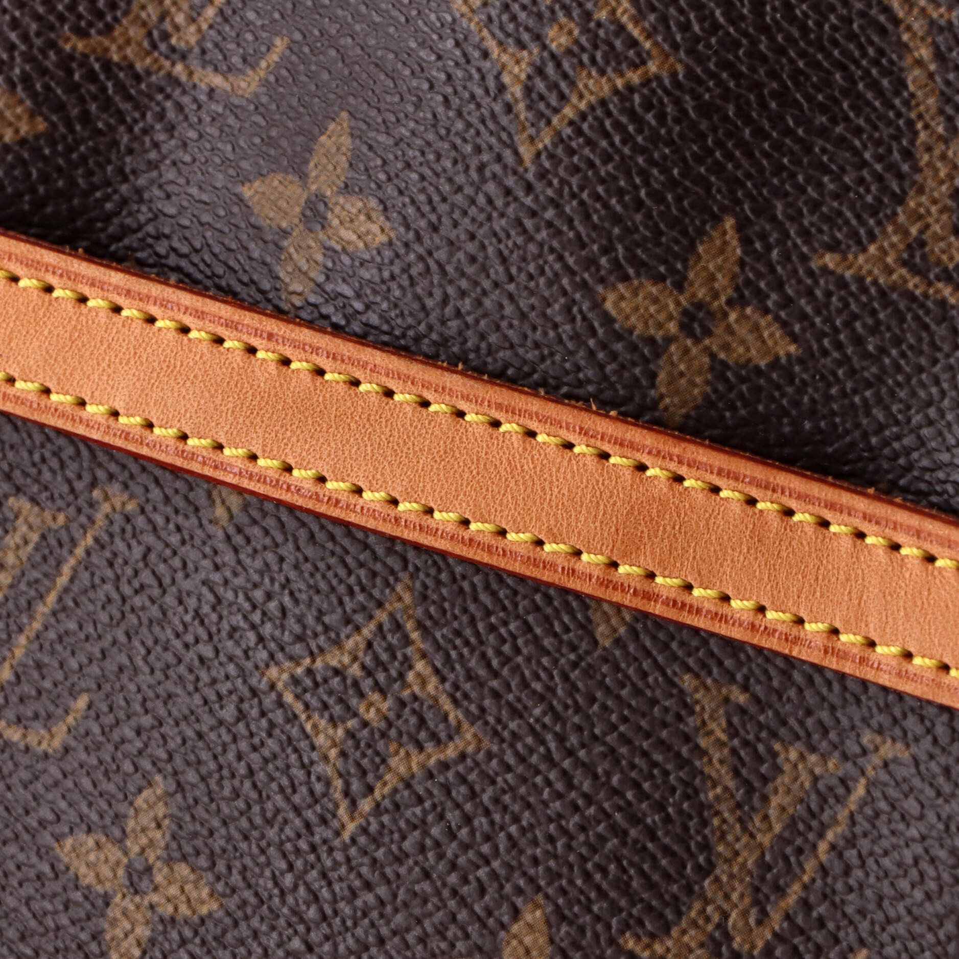 Louis Vuitton Danube Handbag Size ONE SIZE - 6 Thumbnail