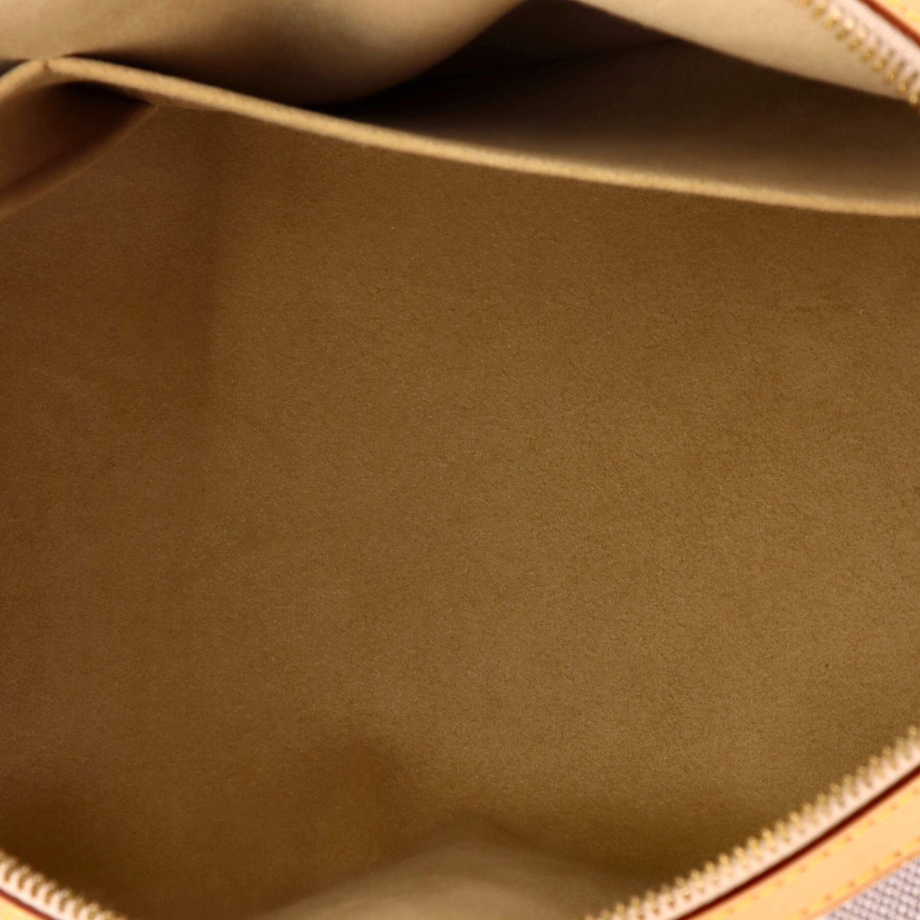 Louis Vuitton Berkeley Handbag Size ONE SIZE - 5 Thumbnail