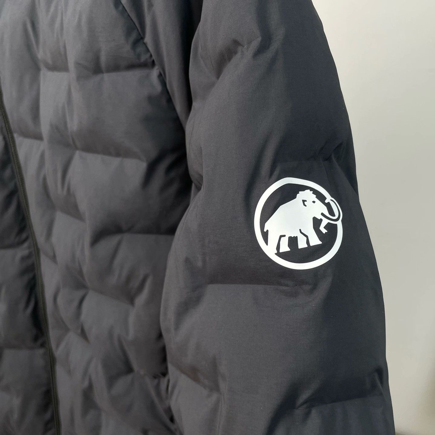 Mammut Mammut Light Jacket m Men Size US M / EU 48-50 / 2 - 5 Thumbnail