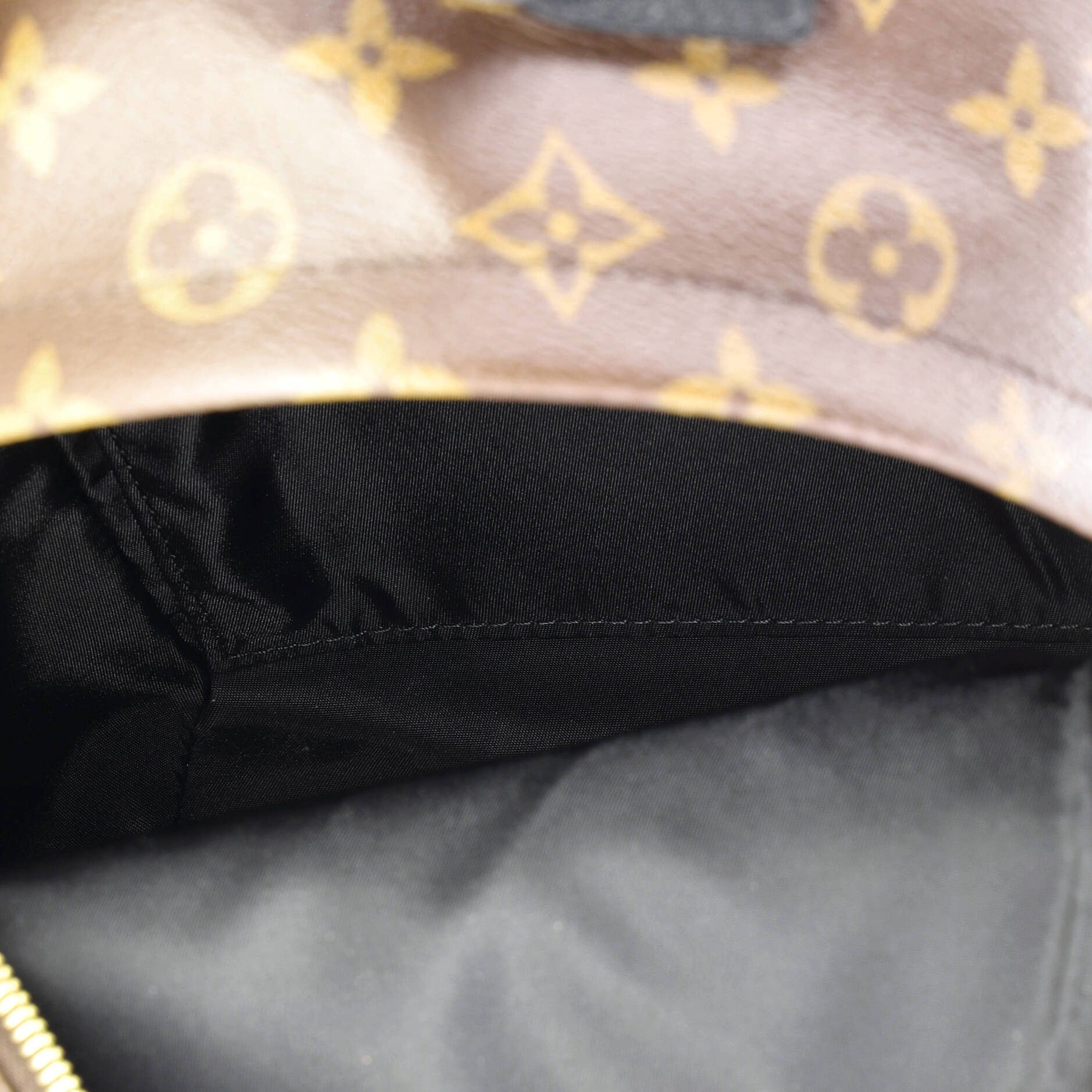 Louis Vuitton Palm Springs Backpack Size ONE SIZE - 5 Thumbnail