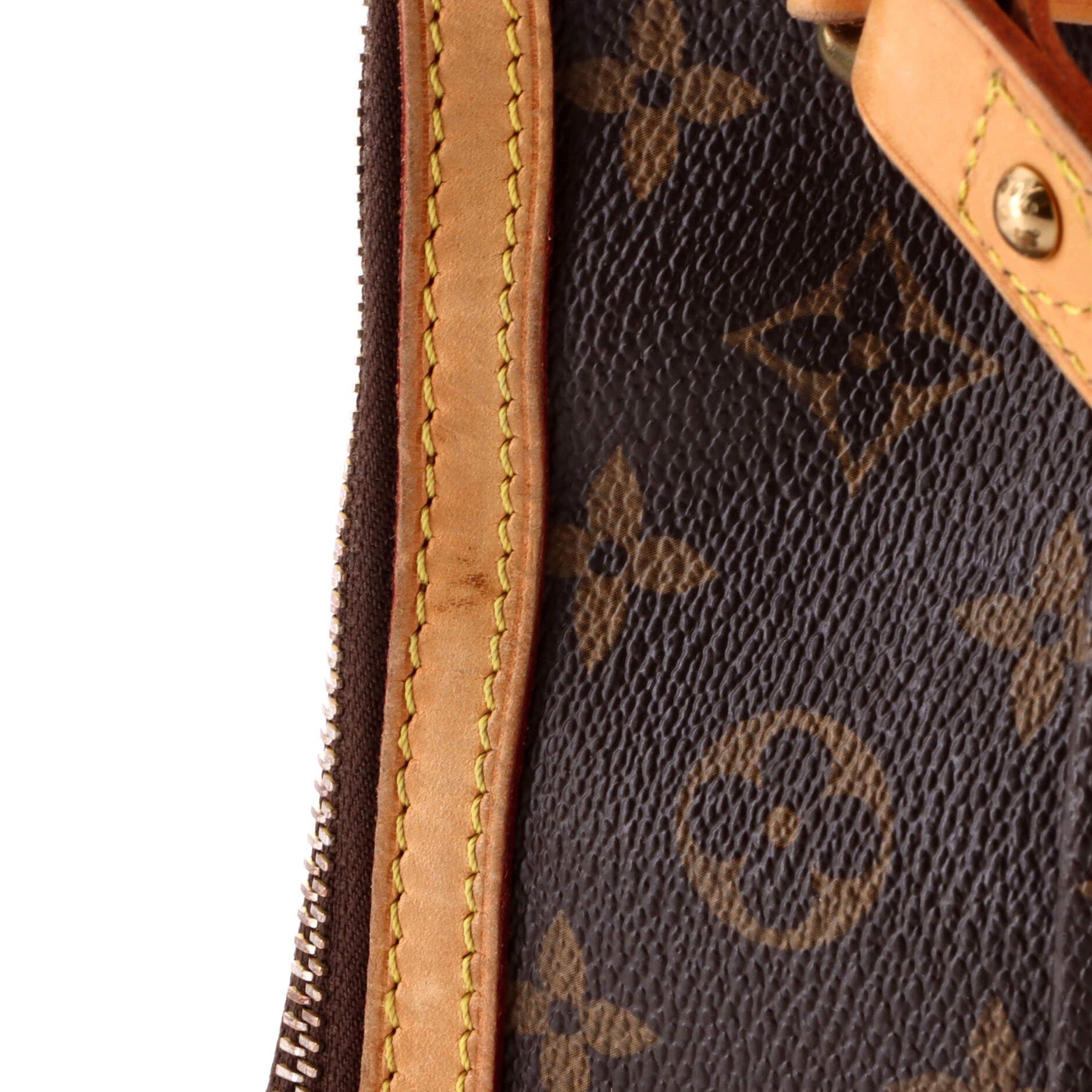 Louis Vuitton Odeon Handbag Size ONE SIZE - 6 Thumbnail