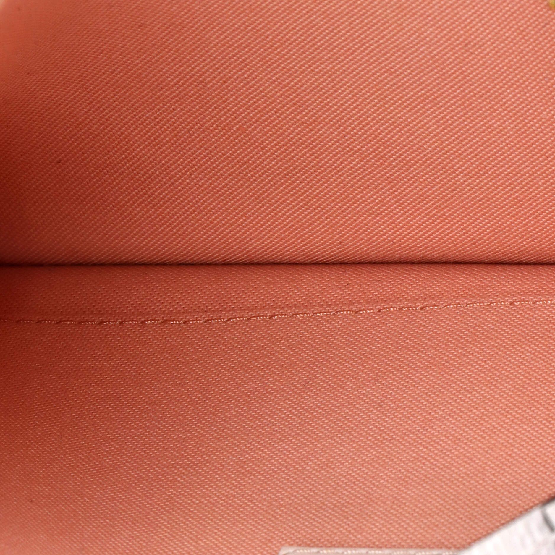 Louis Vuitton Neverfull Pochette Size ONE SIZE - 5 Thumbnail