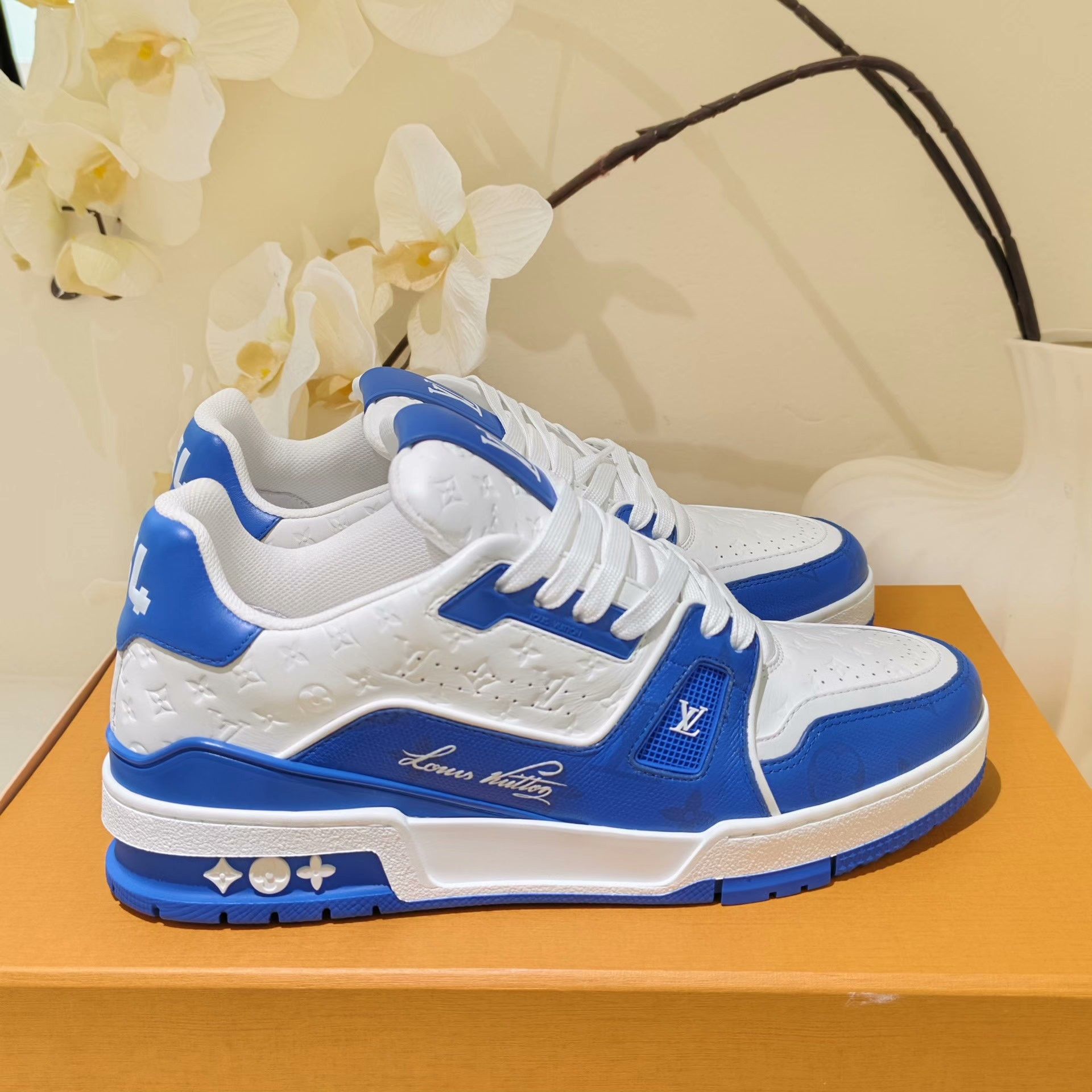 Louis Vuitton Louis Vuitton Training Lowtop Sneakers 7 Men Size US 7 / EU 40 - 4 Thumbnail