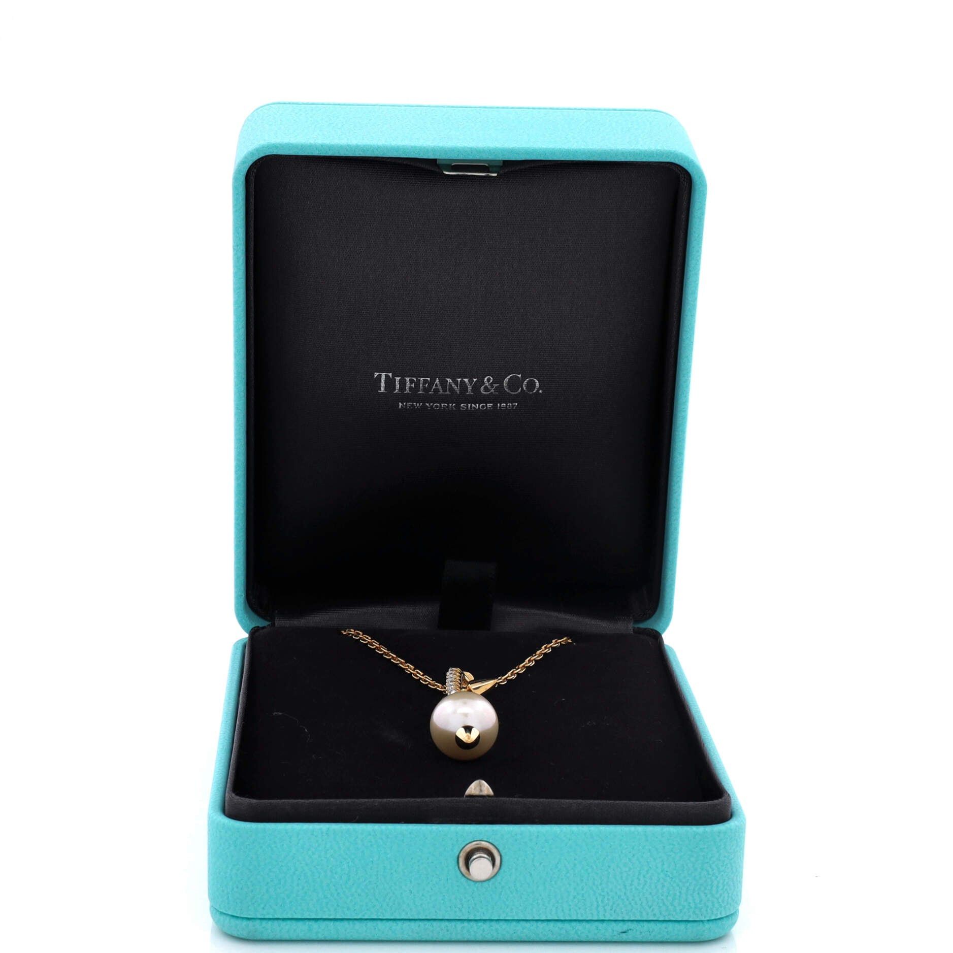 Tiffany & Co. x Pharrell Williams Titan Pendant Necklace Size ONE SIZE - 2 Thumbnail