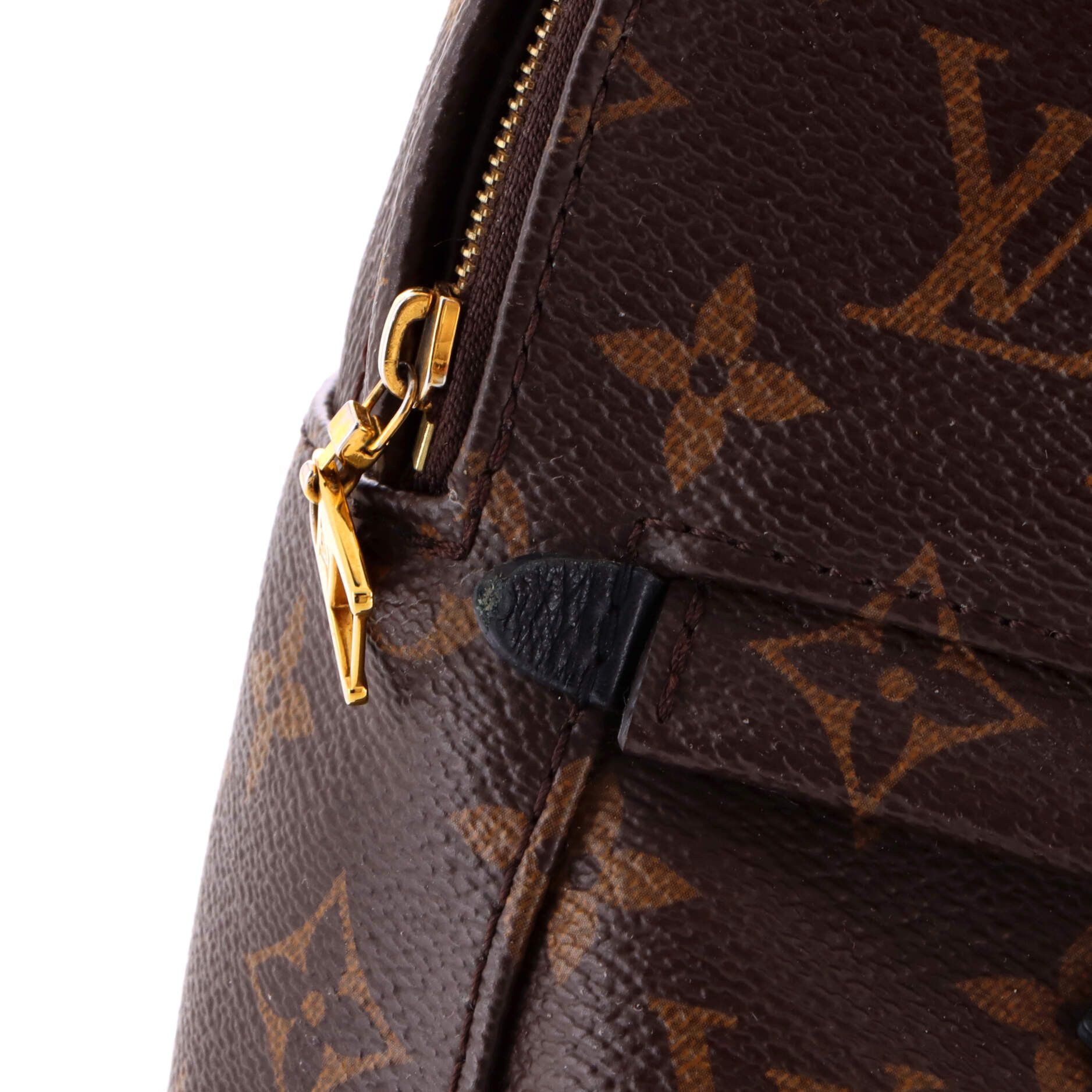 Louis Vuitton Palm Springs Backpack Size ONE SIZE - 6 Thumbnail