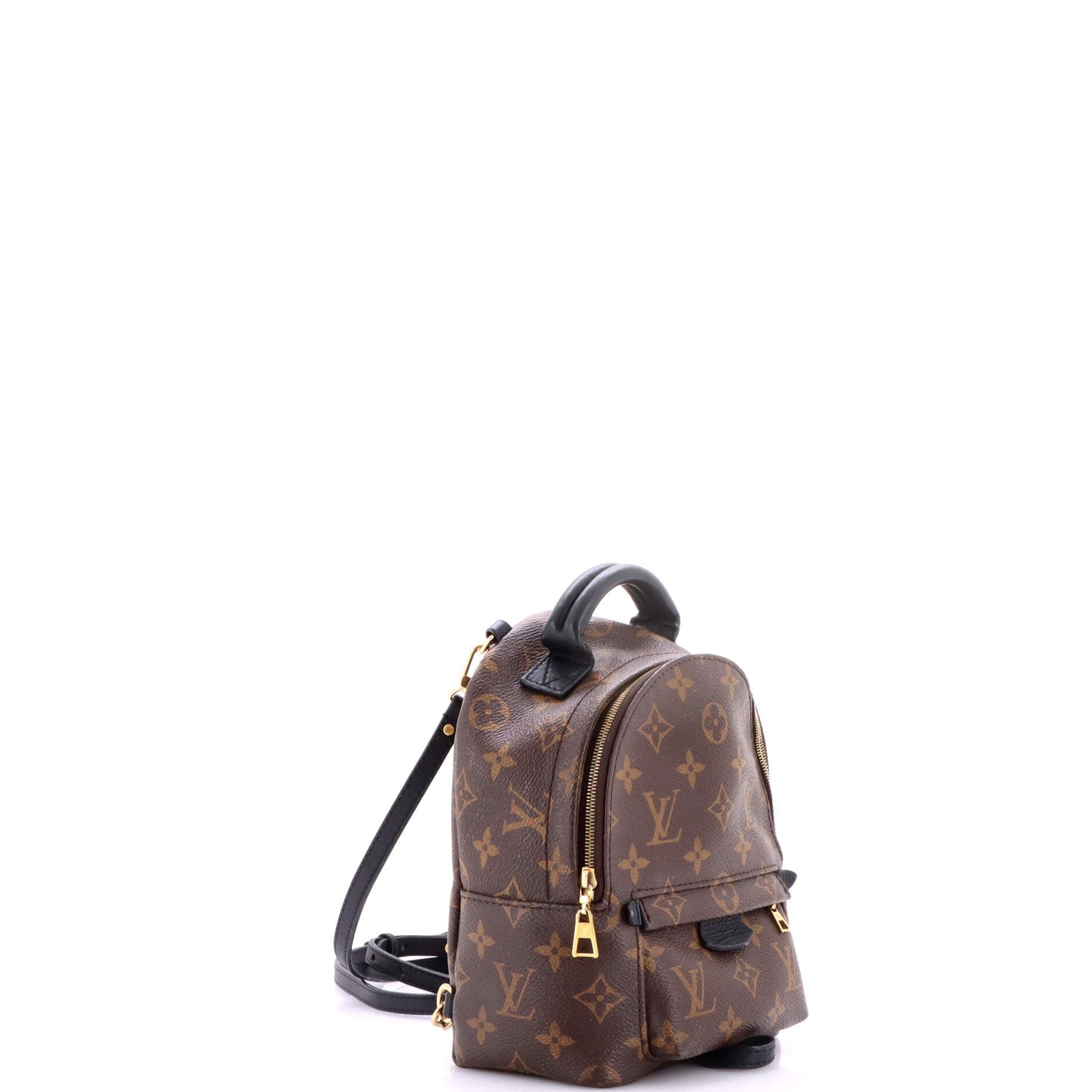 Louis Vuitton Palm Springs Backpack Size ONE SIZE - 2 Thumbnail