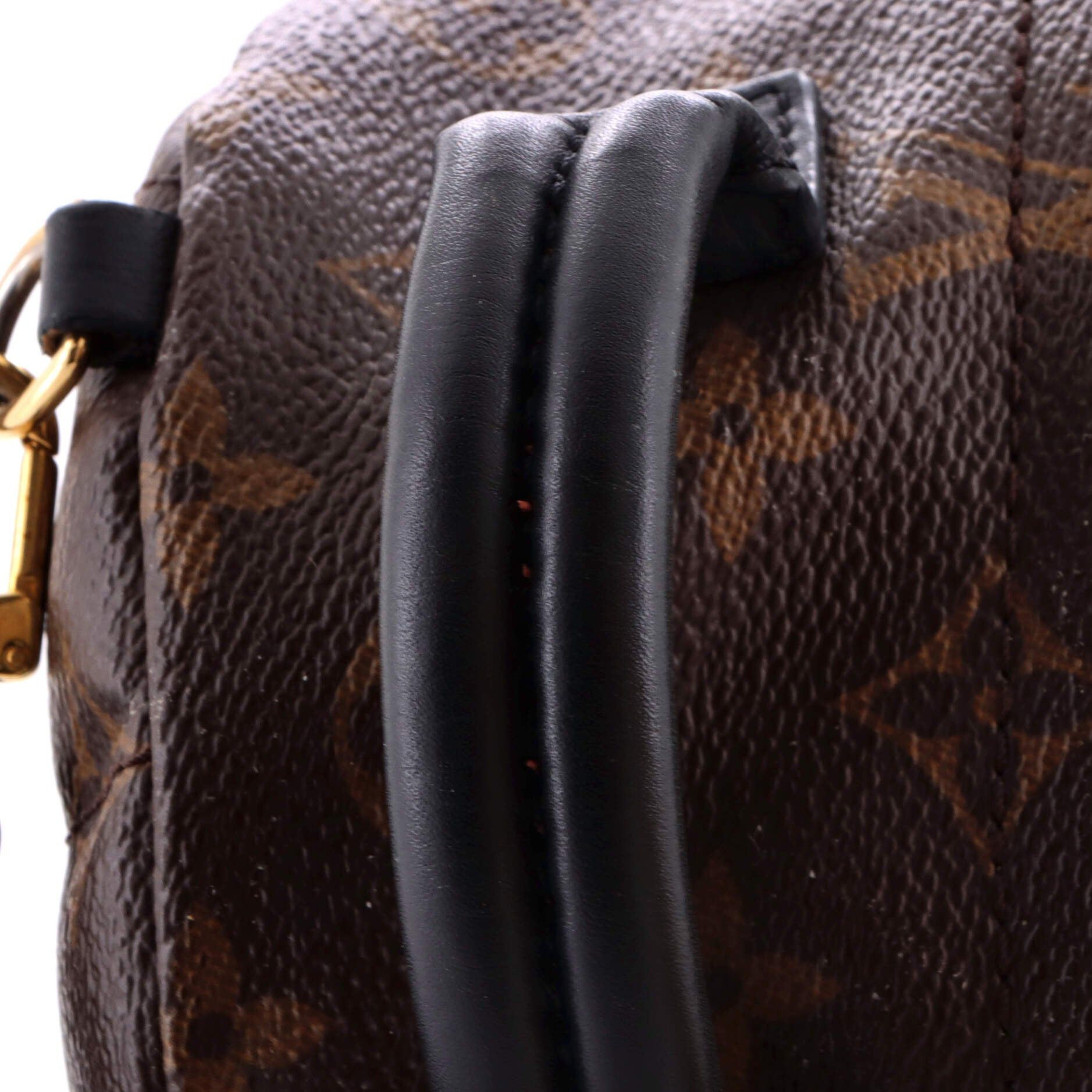 Louis Vuitton Palm Springs Backpack Size ONE SIZE - 7 Thumbnail