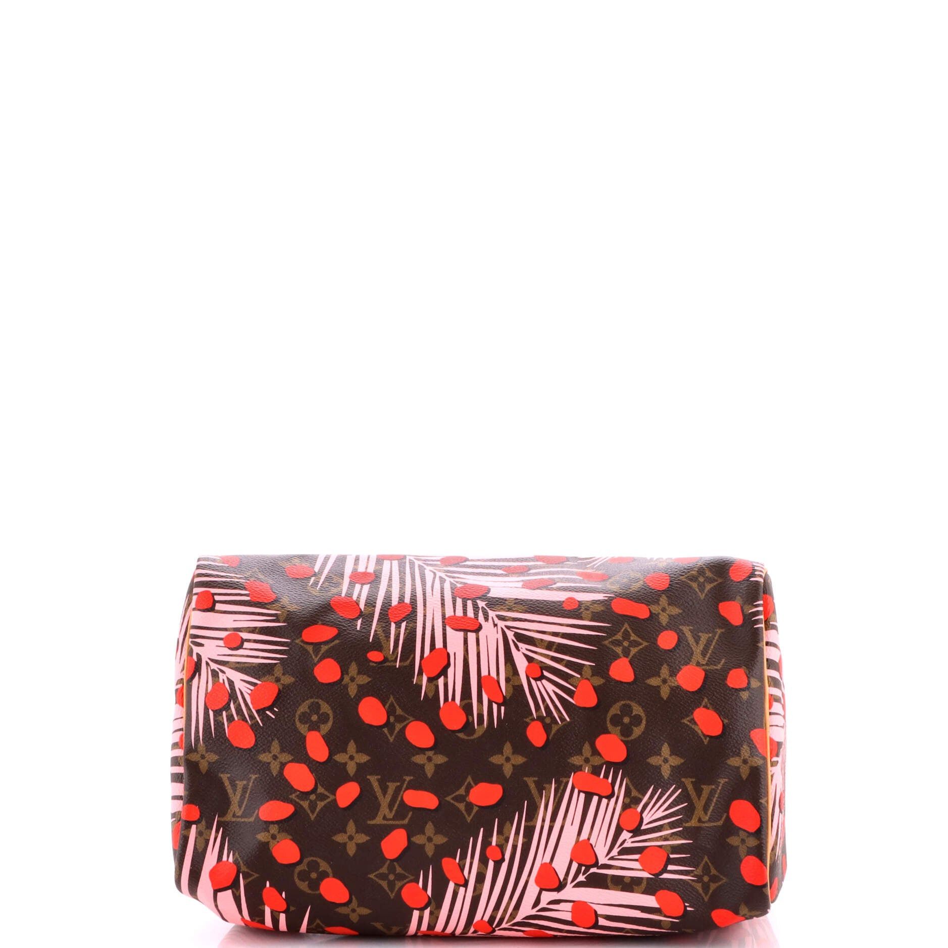 Louis Vuitton Speedy Handbag Size ONE SIZE - 4 Thumbnail