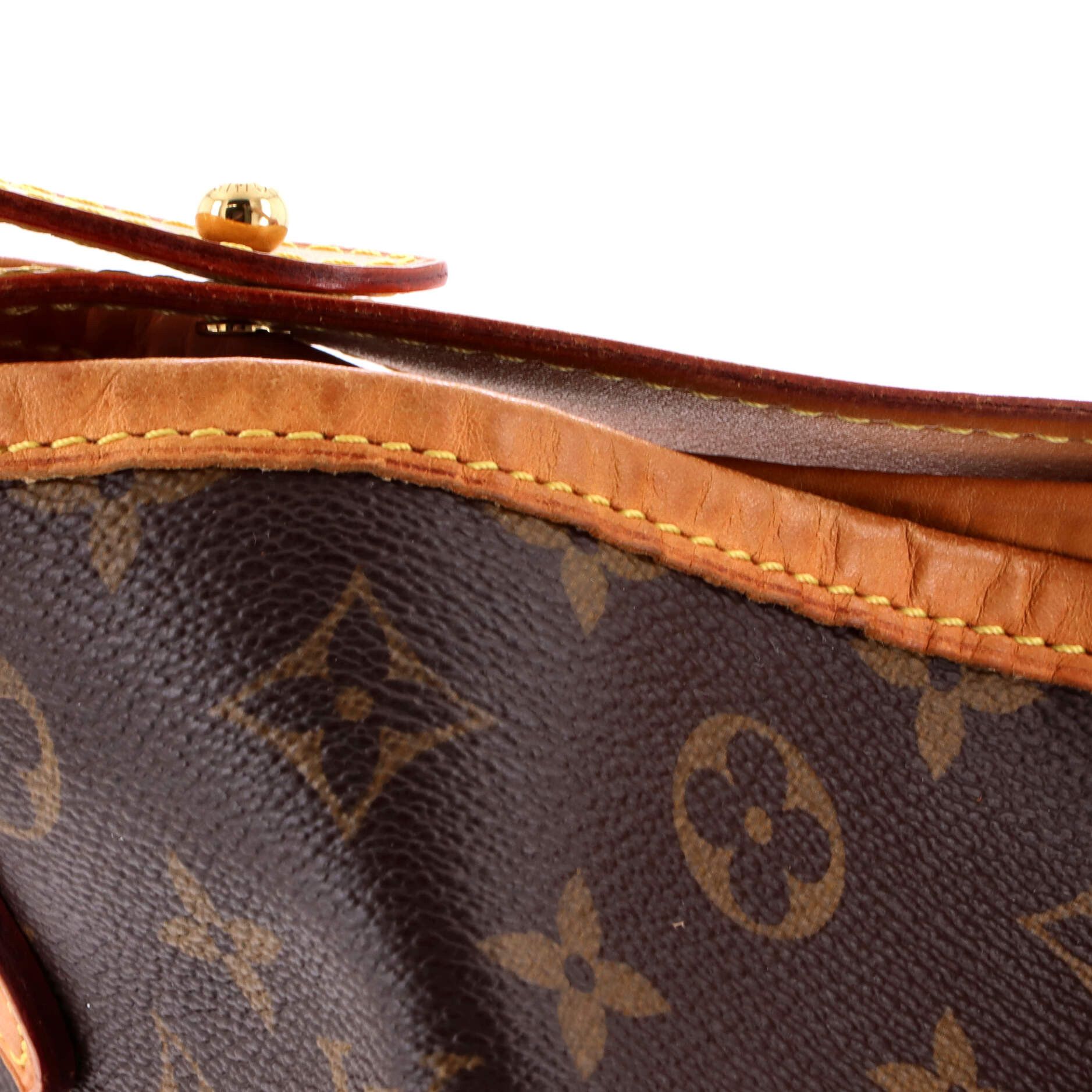 Louis Vuitton Delightful Handbag Size ONE SIZE - 6 Thumbnail