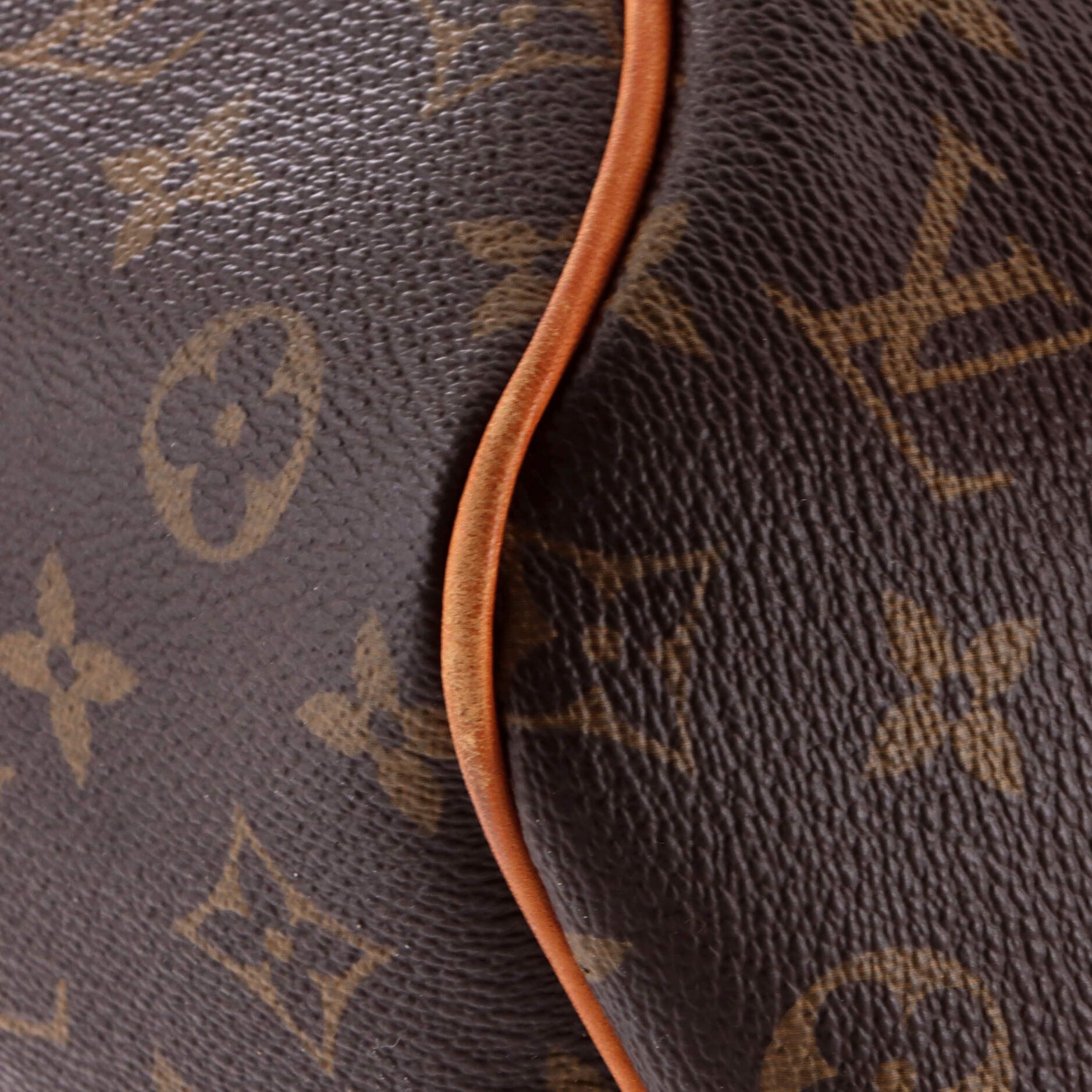 Louis Vuitton Delightful Handbag Size ONE SIZE - 7 Thumbnail