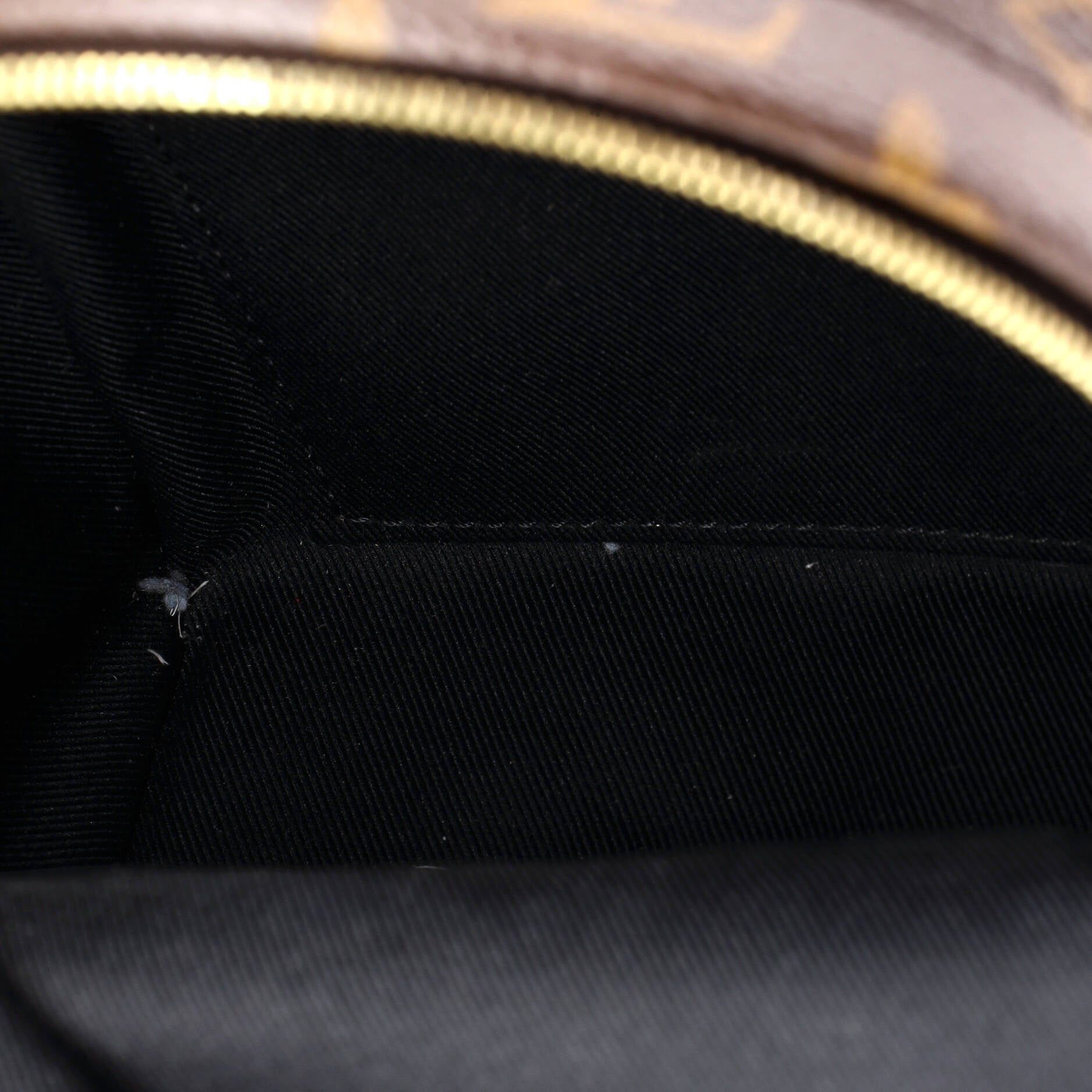 Louis Vuitton Palm Springs Backpack Size ONE SIZE - 5 Thumbnail