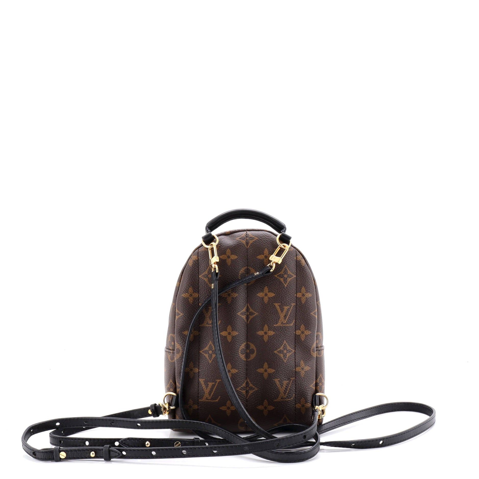 Louis Vuitton Palm Springs Backpack Size ONE SIZE - 3 Thumbnail