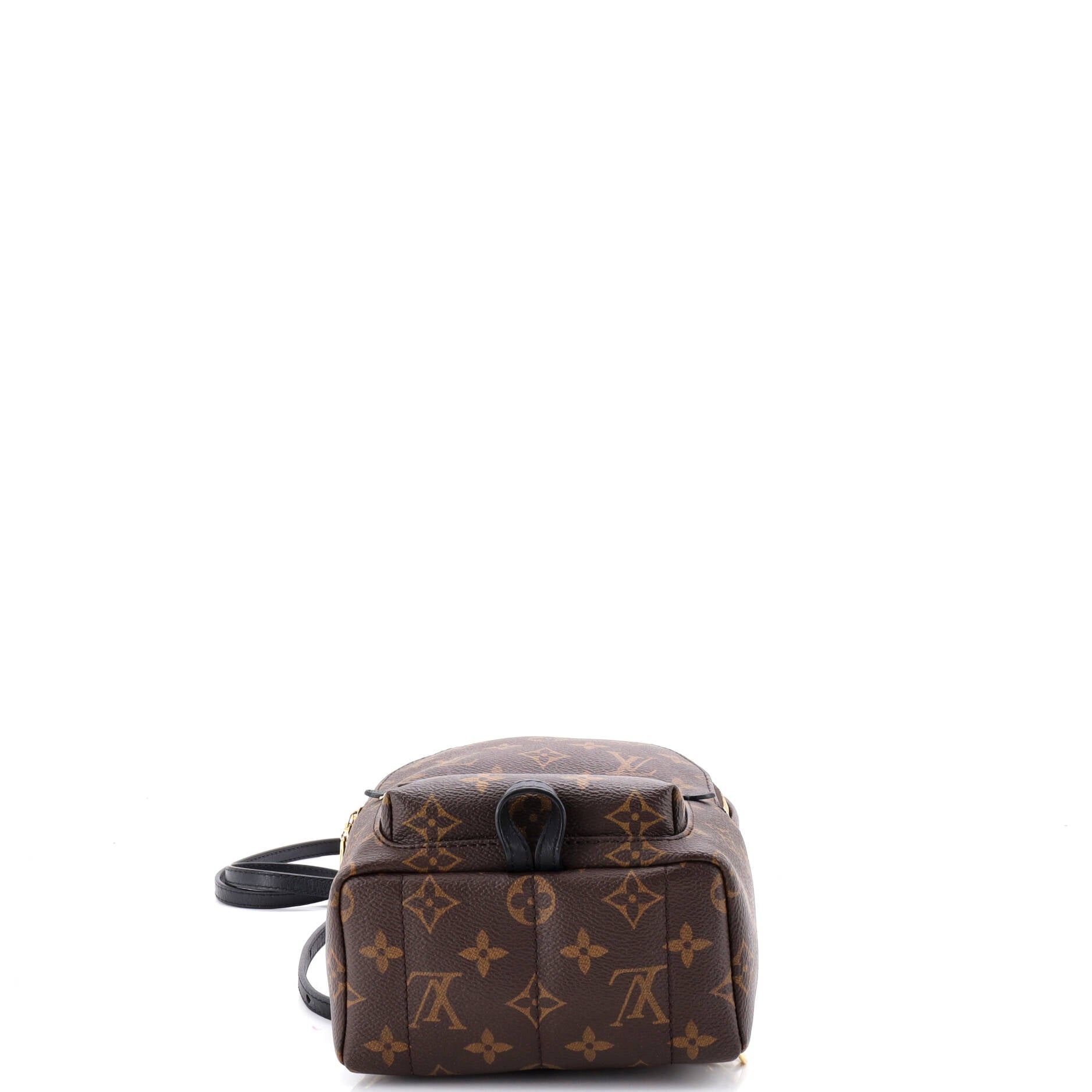 Louis Vuitton Palm Springs Backpack Size ONE SIZE - 4 Thumbnail
