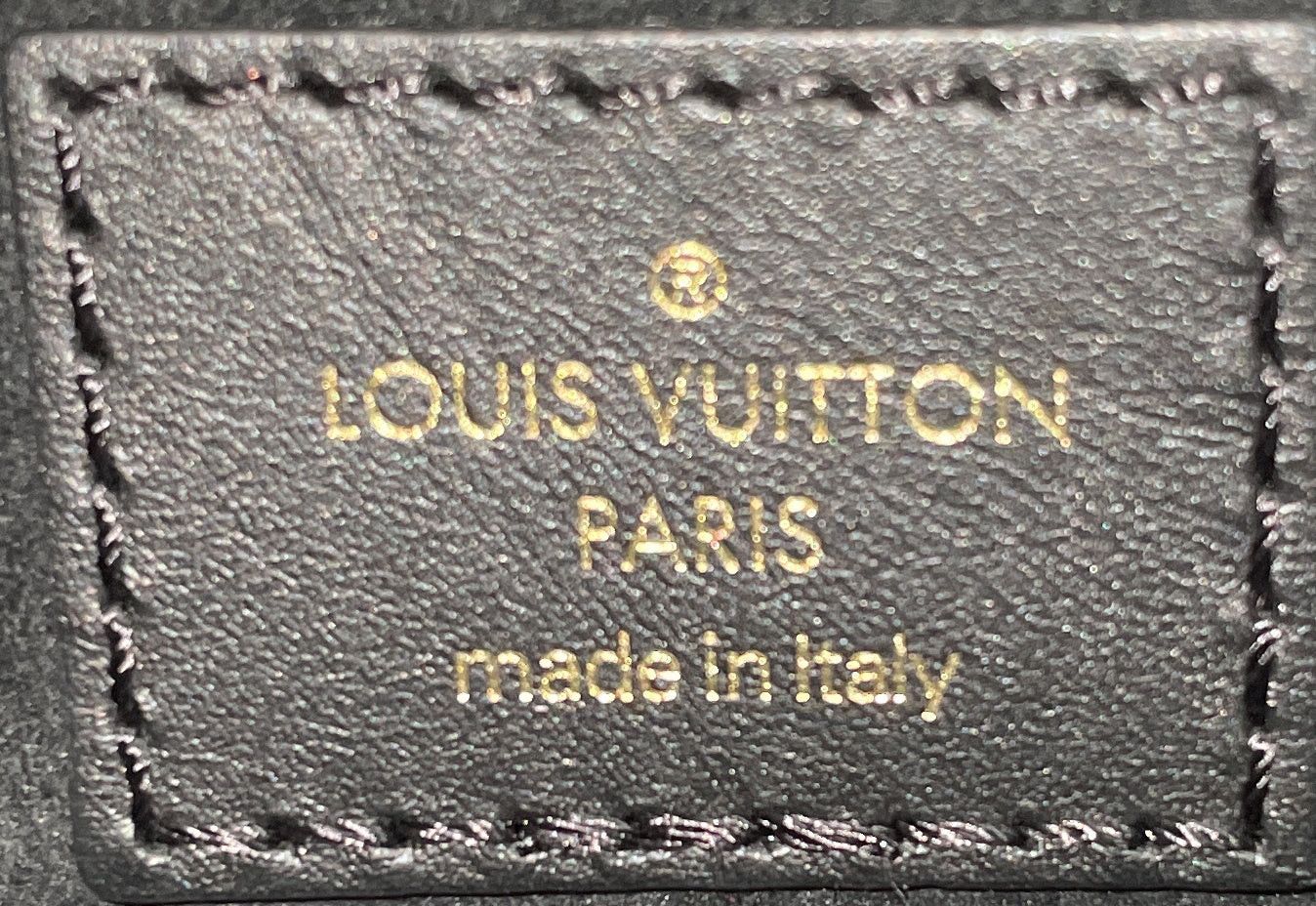 Louis Vuitton Vavin Handbag Size ONE SIZE - 9 Thumbnail