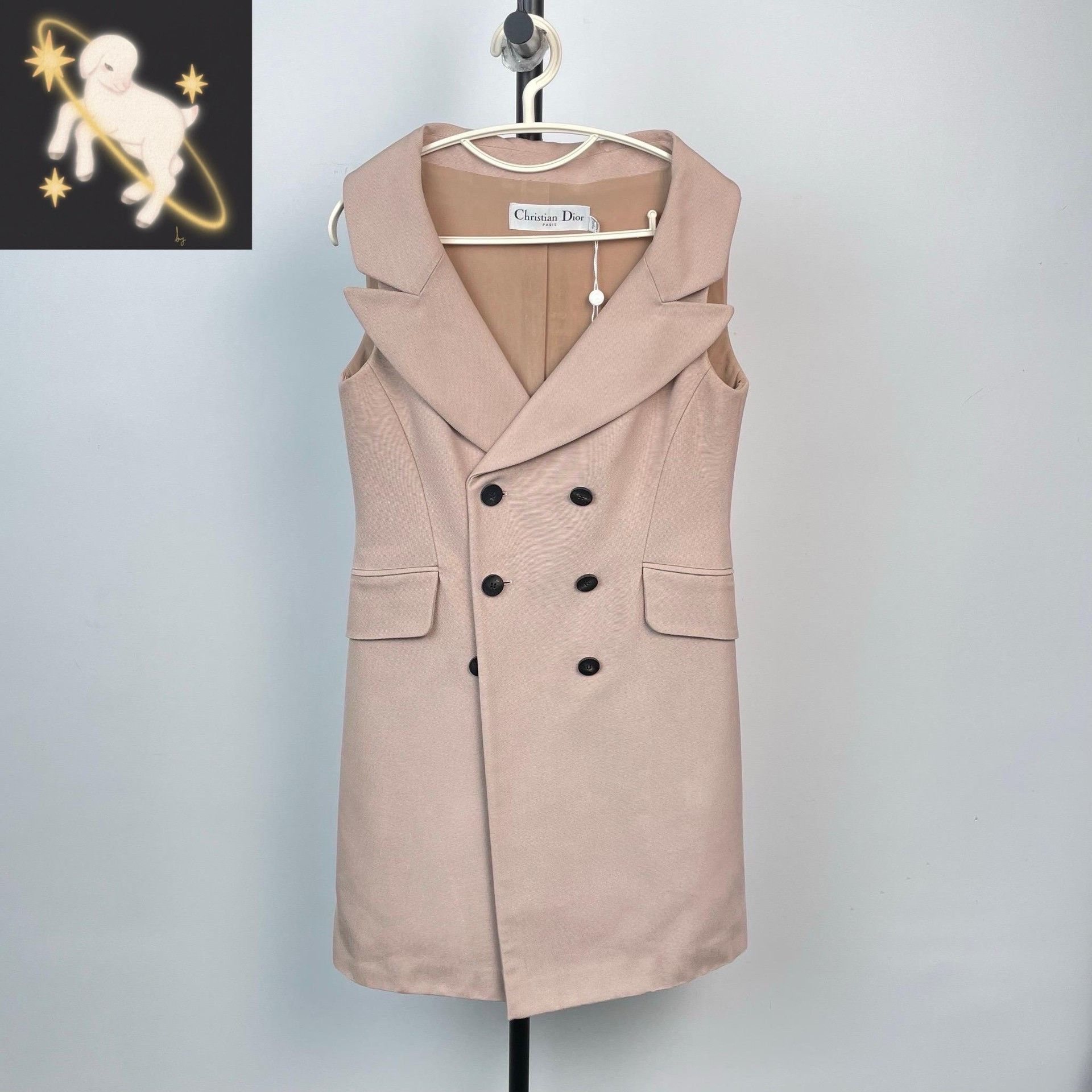 Dior Dior Rose Pink Lapel Sleeveless Vest Dress Size S / US 4 / IT 40 - 4 Thumbnail