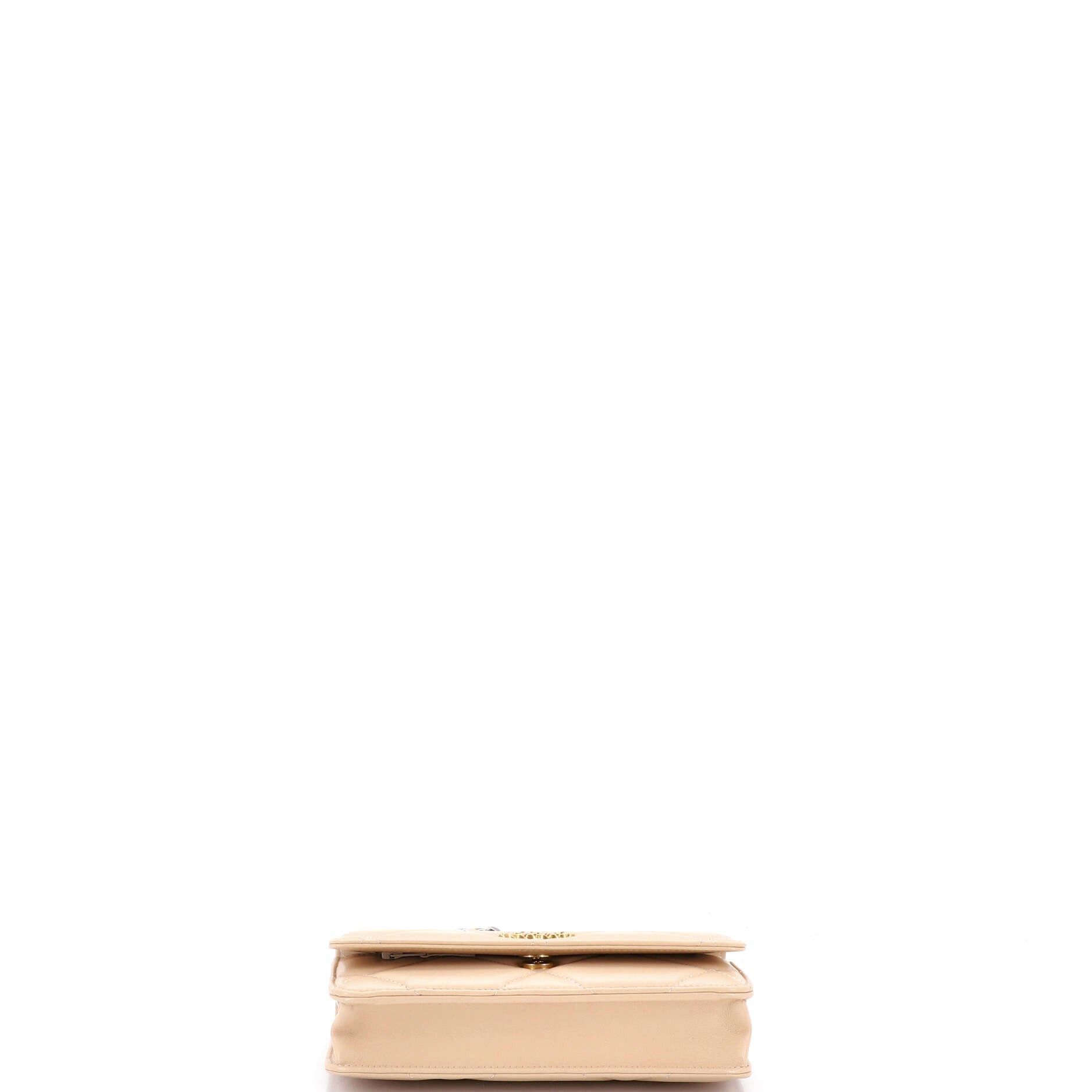 Chanel 19 Wallet on Chain Size ONE SIZE - 4 Thumbnail