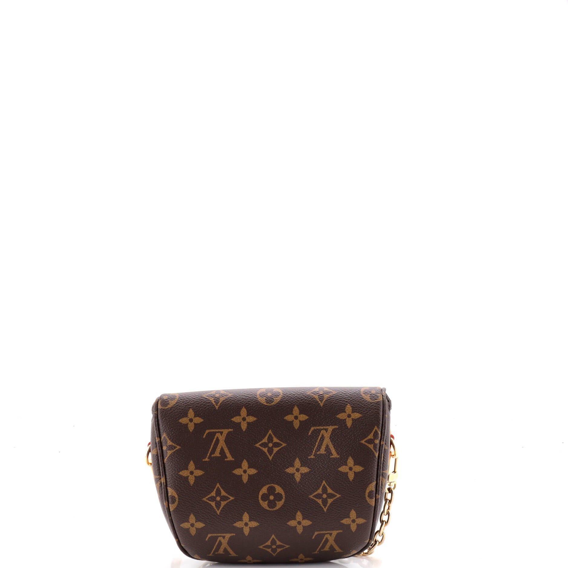 Louis Vuitton Bum Bag Size ONE SIZE - 3 Thumbnail