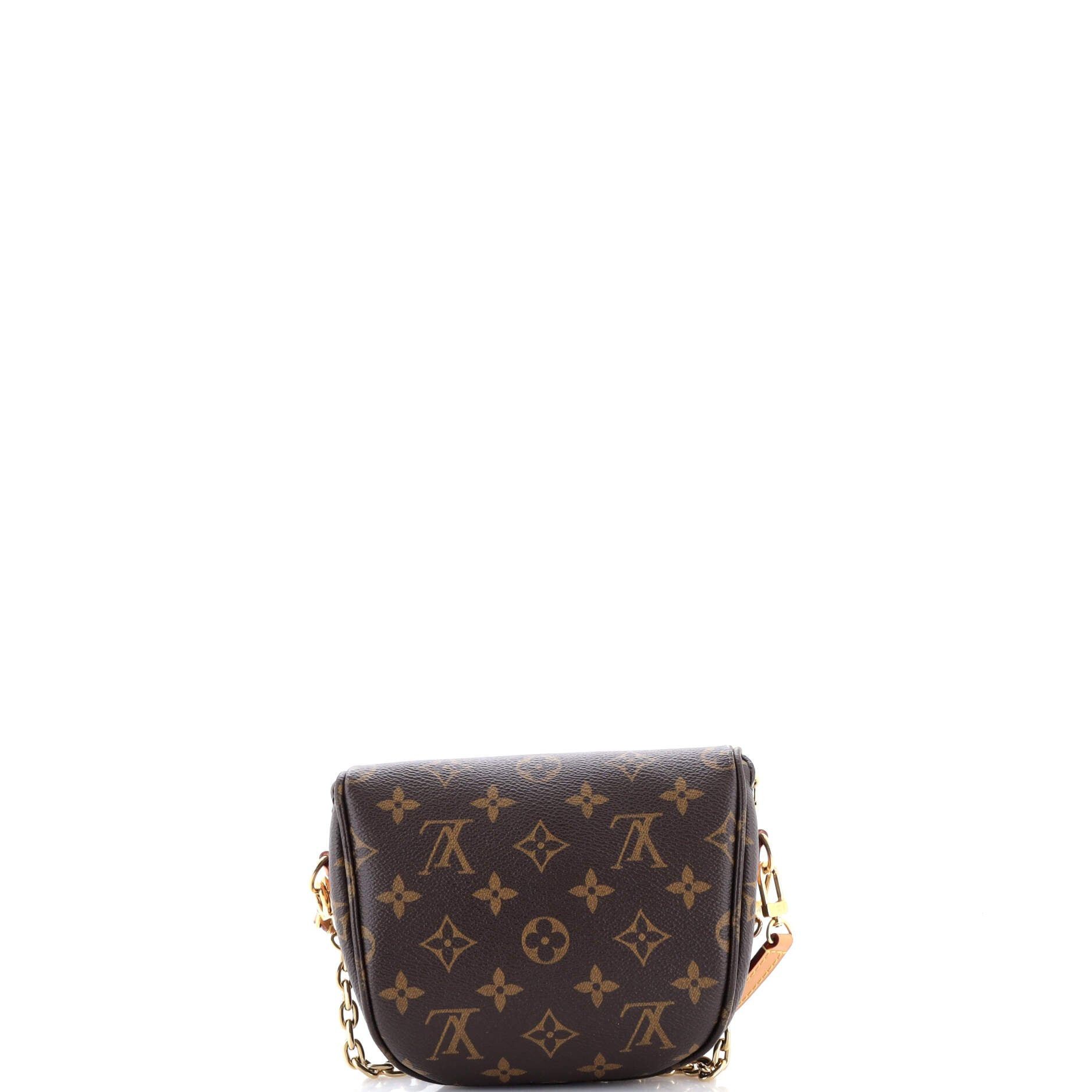 Louis Vuitton Bum Bag Size ONE SIZE - 3 Thumbnail