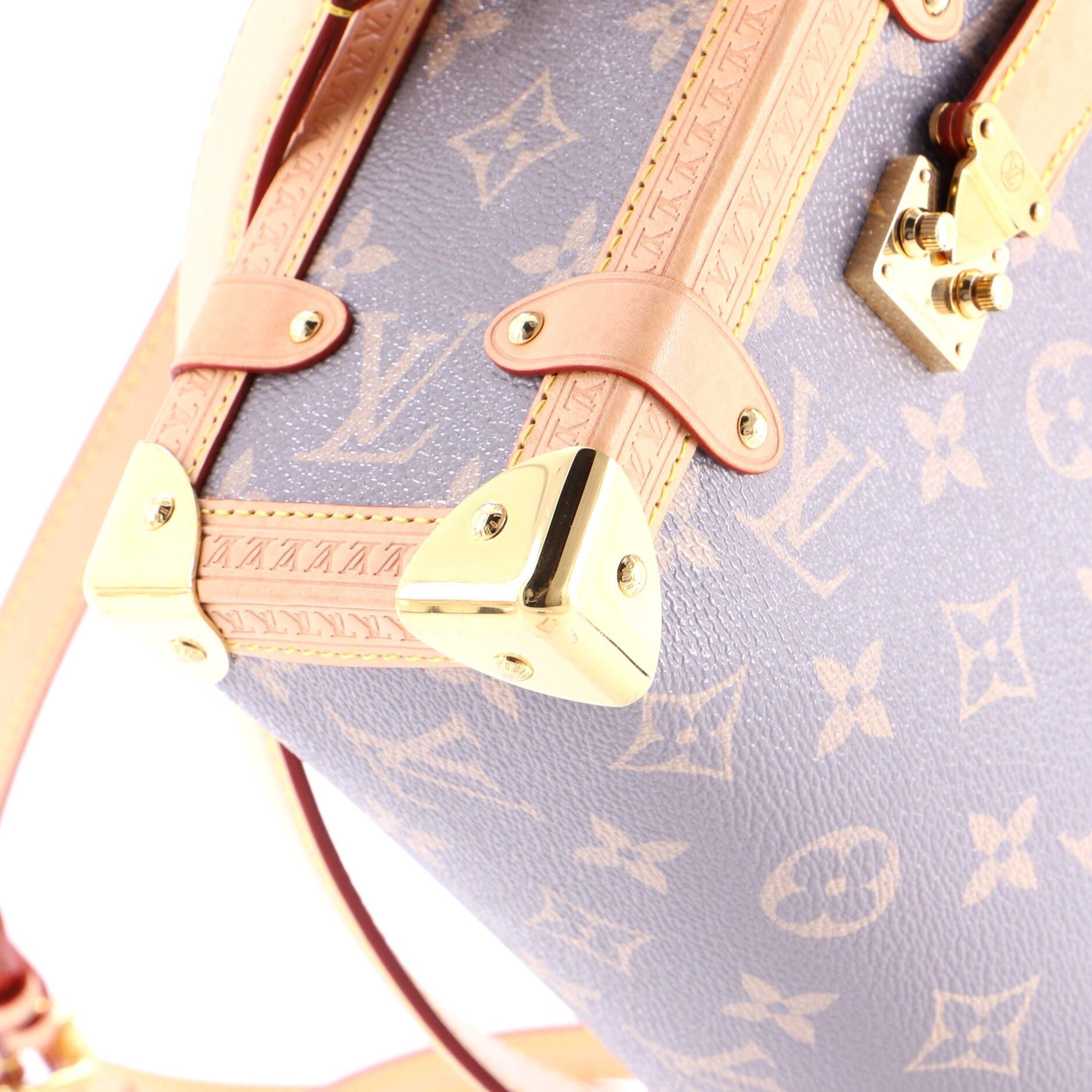 Louis Vuitton Side Trunk Handbag Size ONE SIZE - 6 Thumbnail