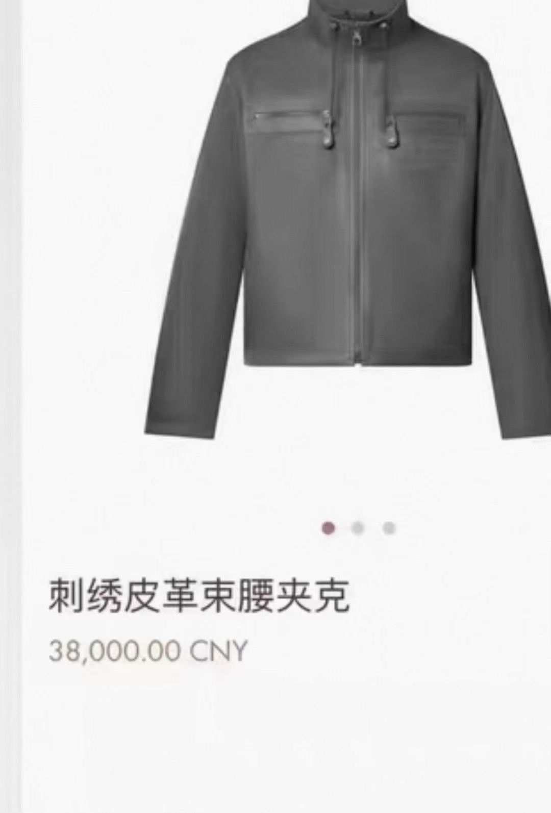Louis Vuitton Louis Vuitton Gray Calfskin Jacket Size US M / EU 48-50 / 2 - 7 Thumbnail