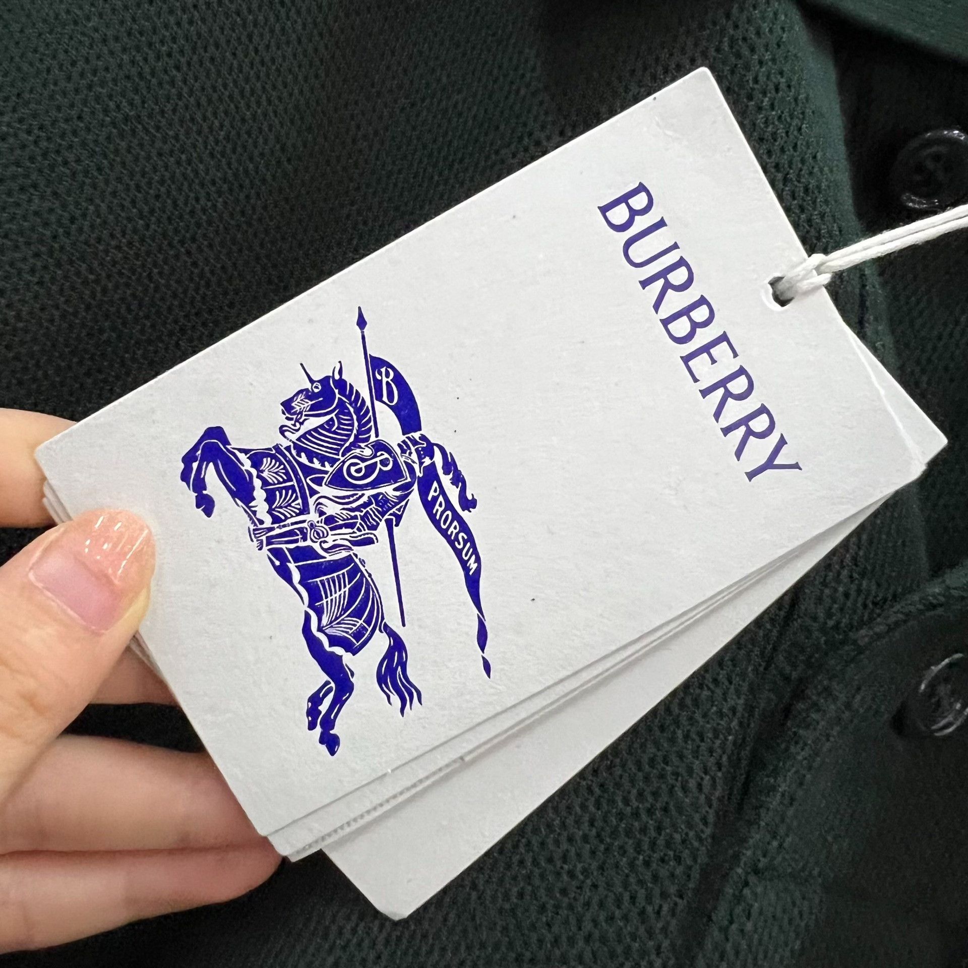 Burberry Burberry Embroidered Green Polo m Men Size US M / EU 48-50 / 2 - 5 Thumbnail