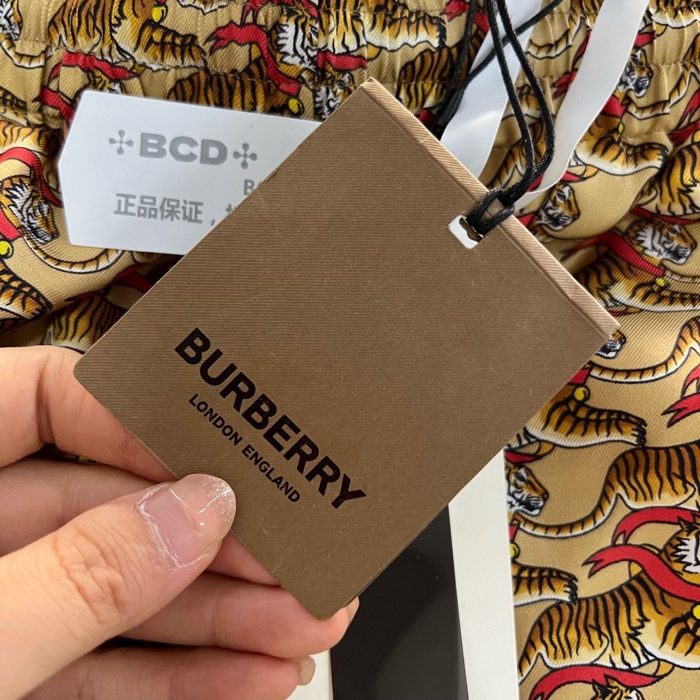 Burberry Burberry Tiger Shorts 28 Men Size US 28 / EU 44 - 5 Thumbnail