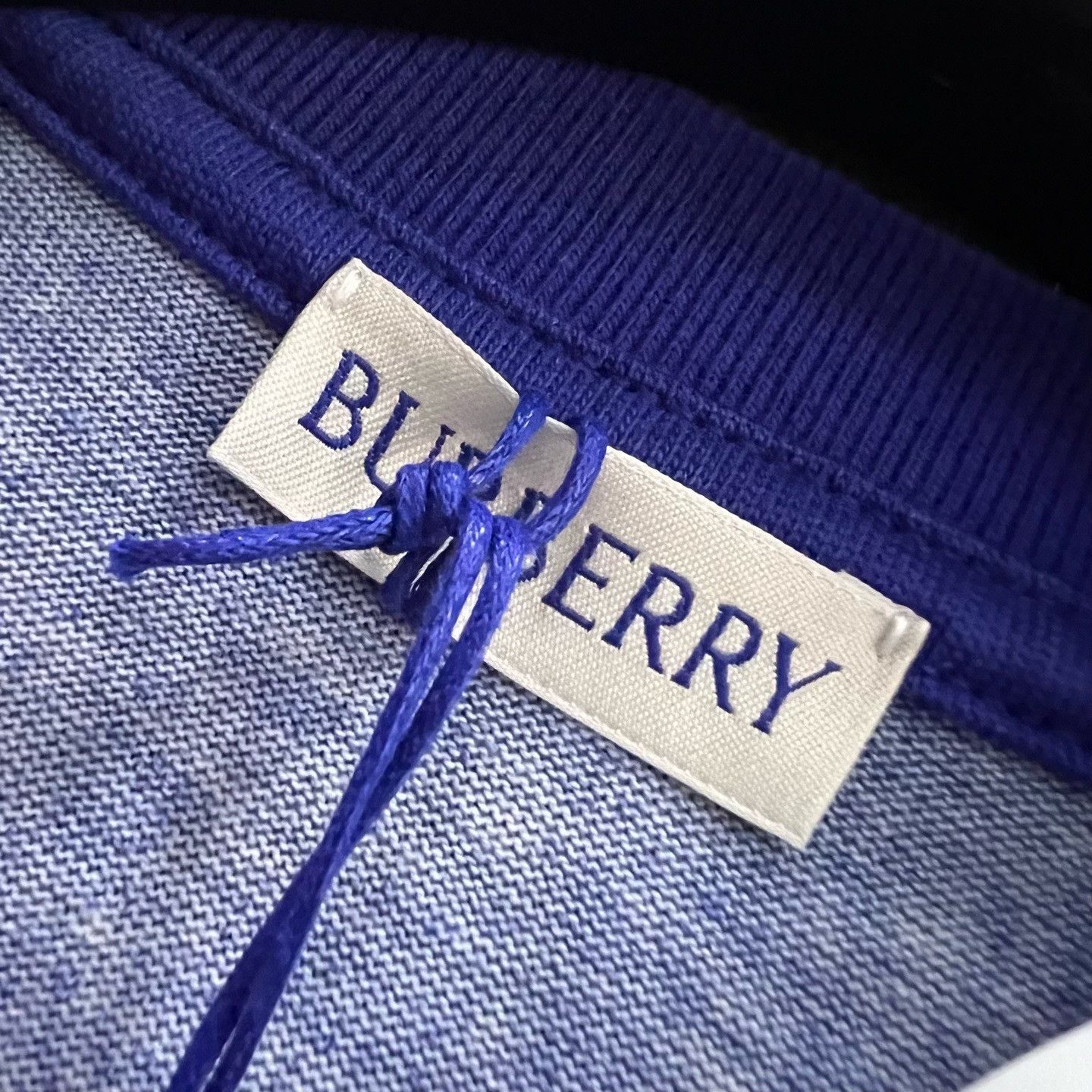Burberry Burberry Printed Blue T-Shirt xs Men Size US XS / EU 42 / 0 - 4 Thumbnail