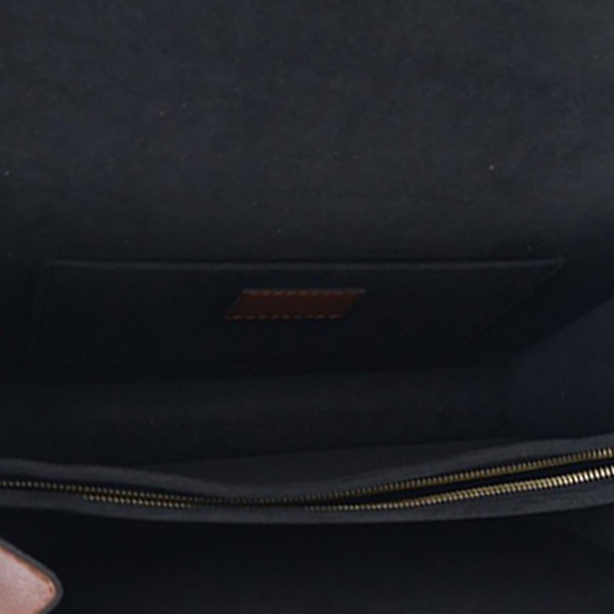 Louis Vuitton Taurillon Dauphine MM Size ONE SIZE - 6 Thumbnail