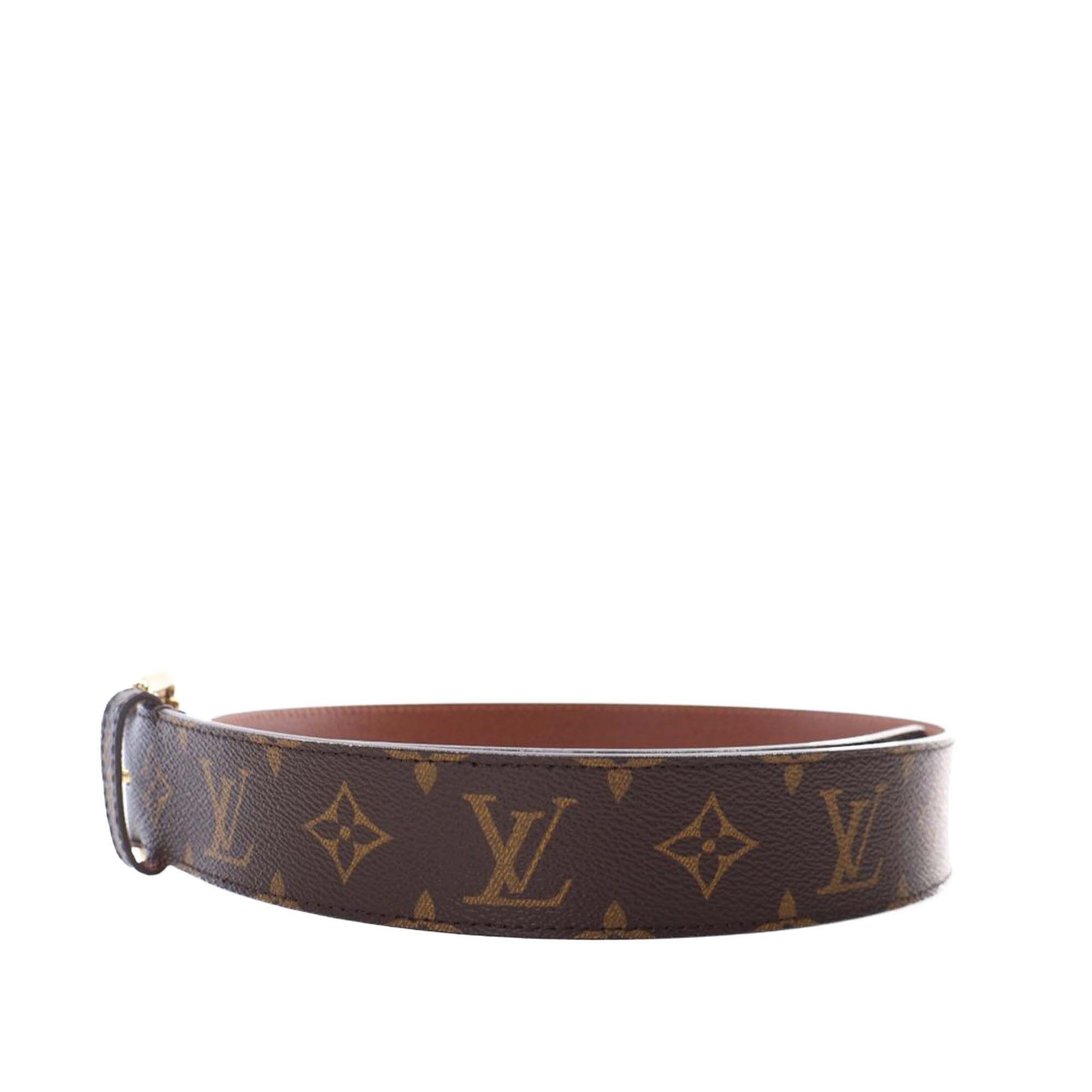 Louis Vuitton Monogram Pochette Duo Belt Bag Size ONE SIZE - 9 Thumbnail