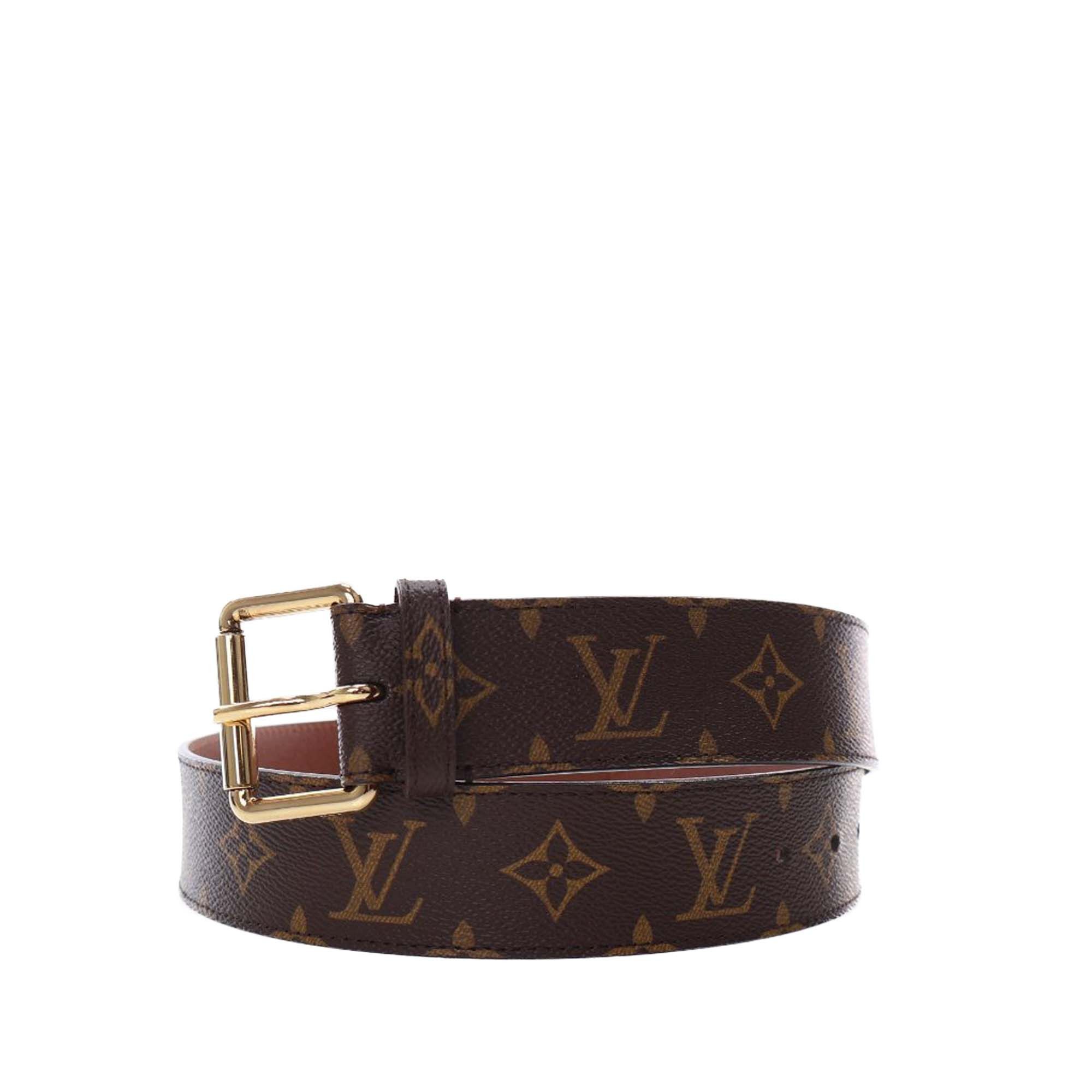 Louis Vuitton Monogram Pochette Duo Belt Bag Size ONE SIZE - 6 Thumbnail