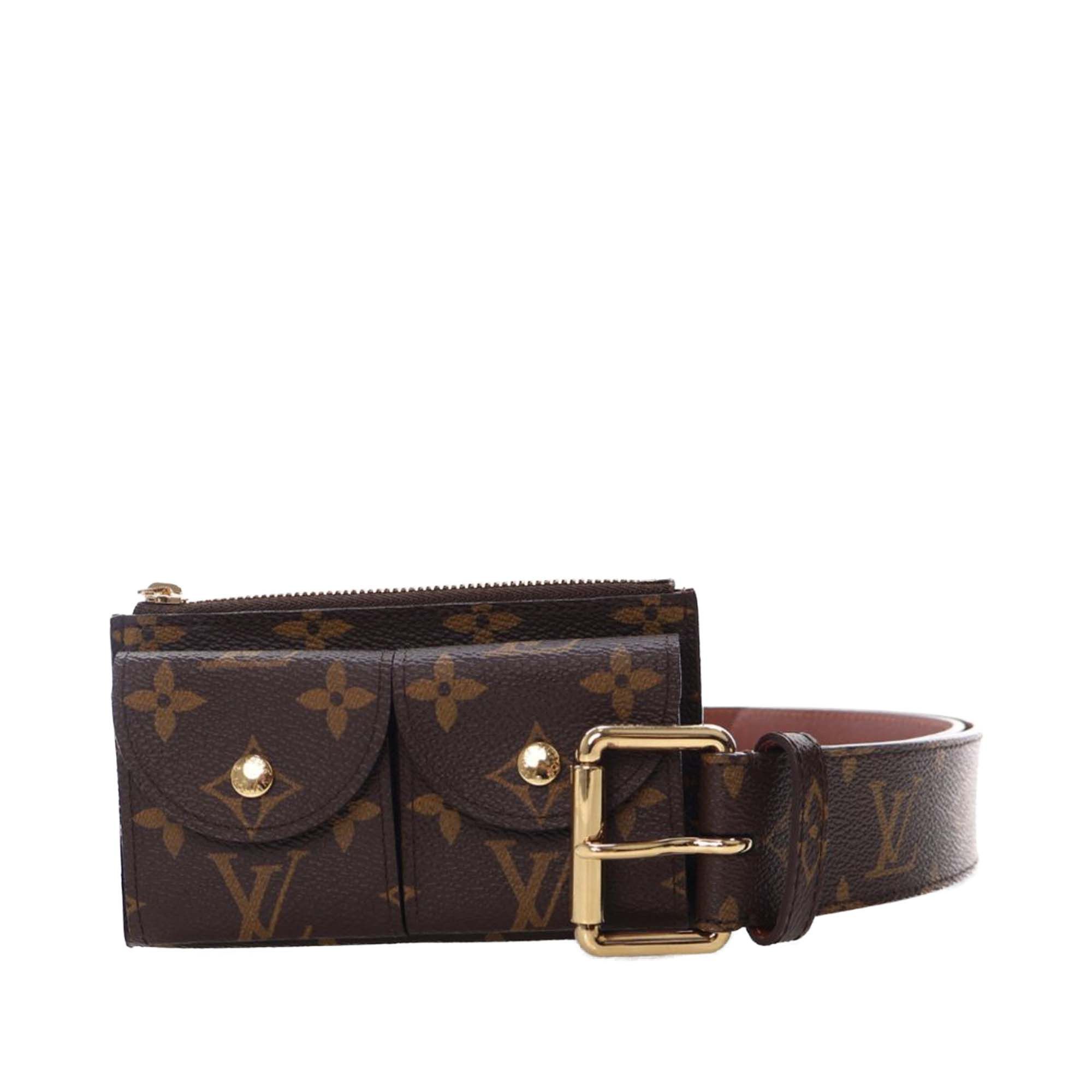 Louis Vuitton Monogram Pochette Duo Belt Bag Size ONE SIZE - 5 Thumbnail