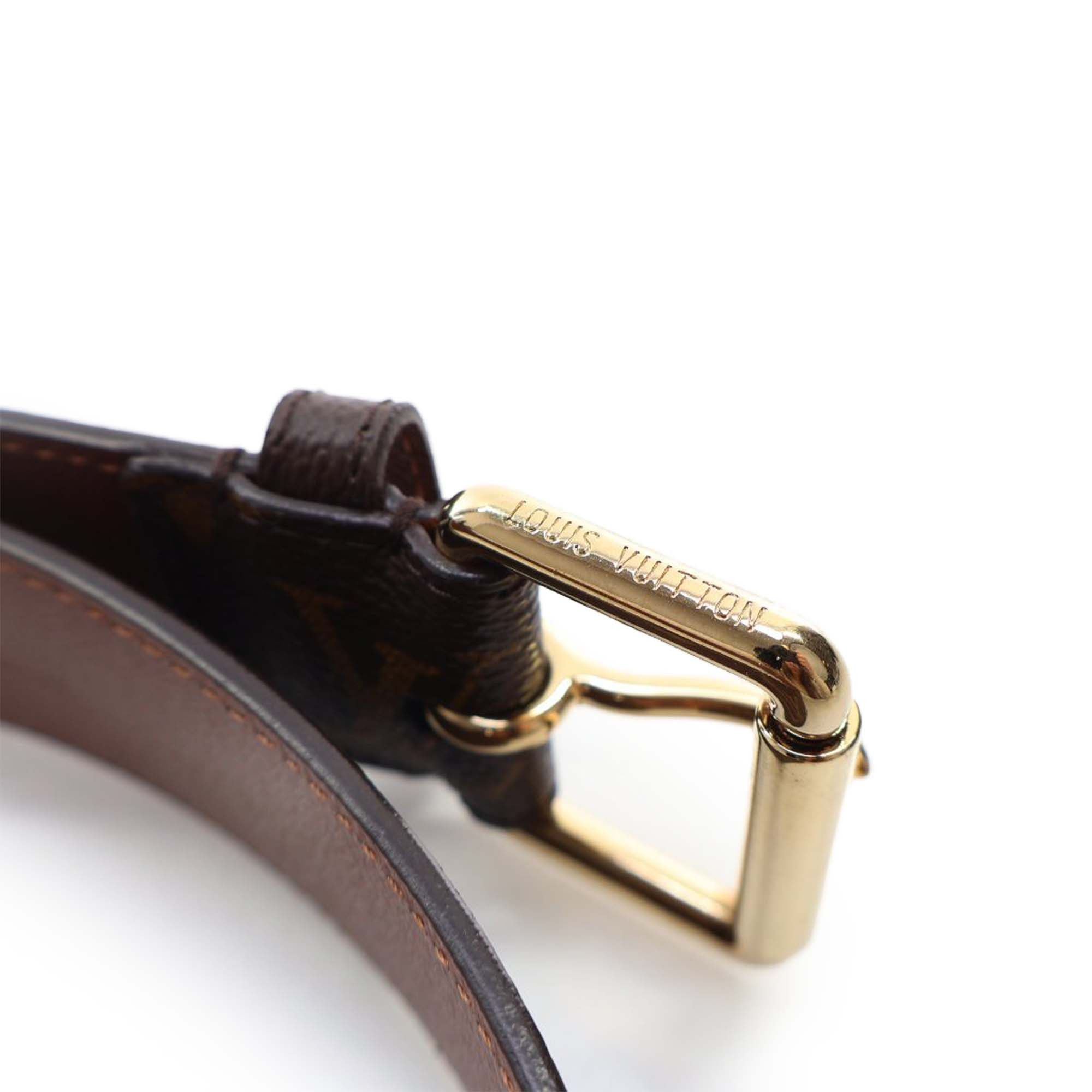 Louis Vuitton Monogram Pochette Duo Belt Bag Size ONE SIZE - 15 Thumbnail