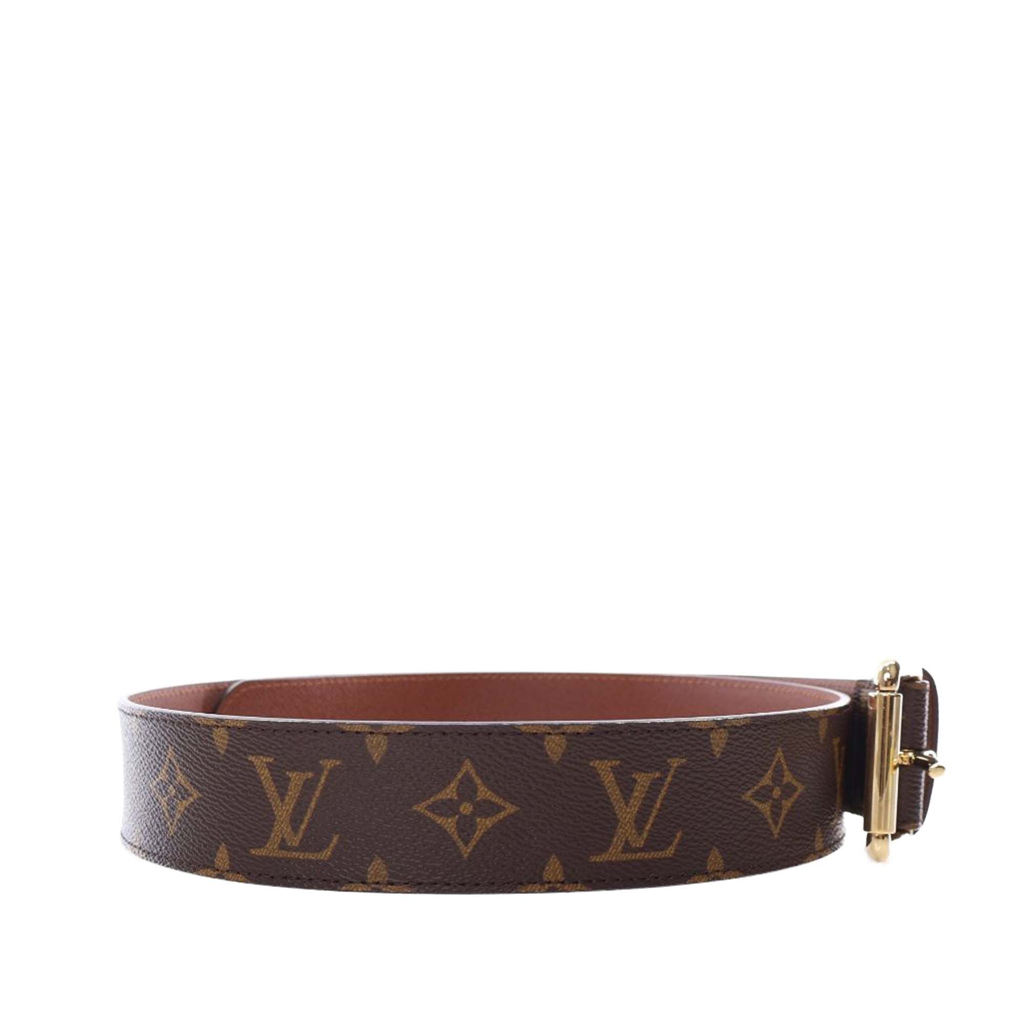 Louis Vuitton Monogram Pochette Duo Belt Bag Size ONE SIZE - 10 Thumbnail