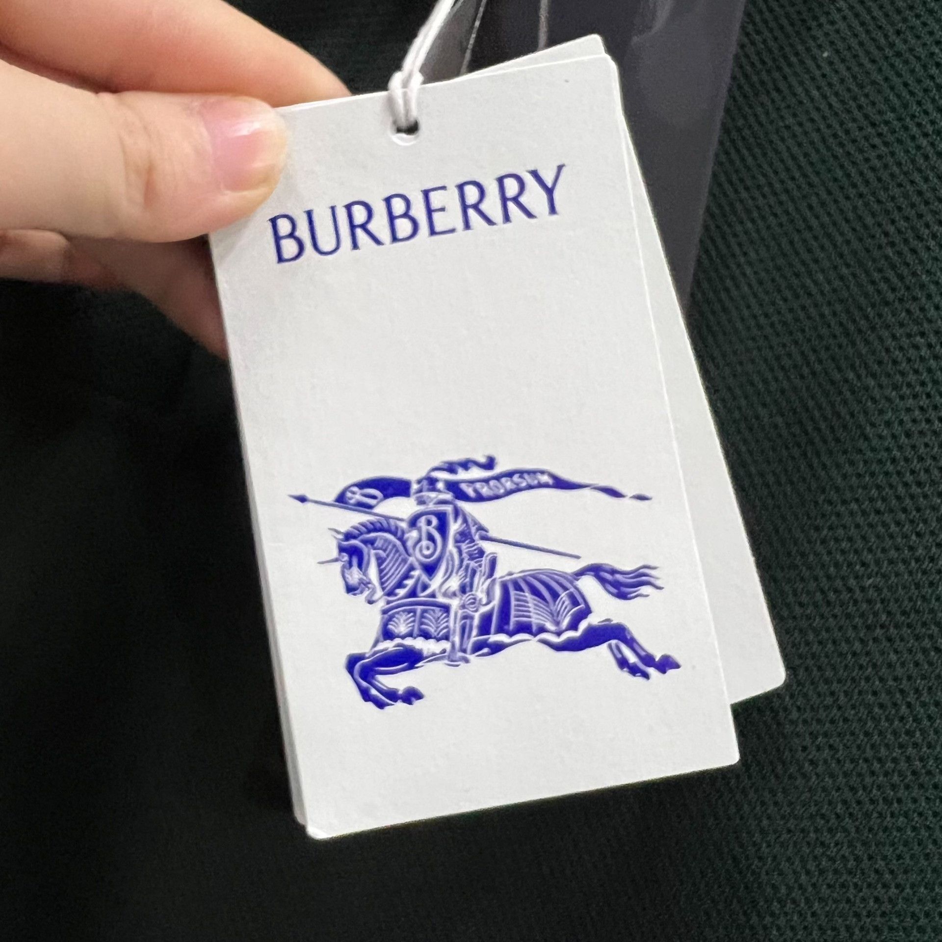 Burberry Burberry Embroidered Green Polo m Men Size US M / EU 48-50 / 2 - 5 Thumbnail